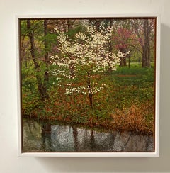 Photorealistic Oil Painting on Canvas, Framed, Early Spring, Dogwood Tree