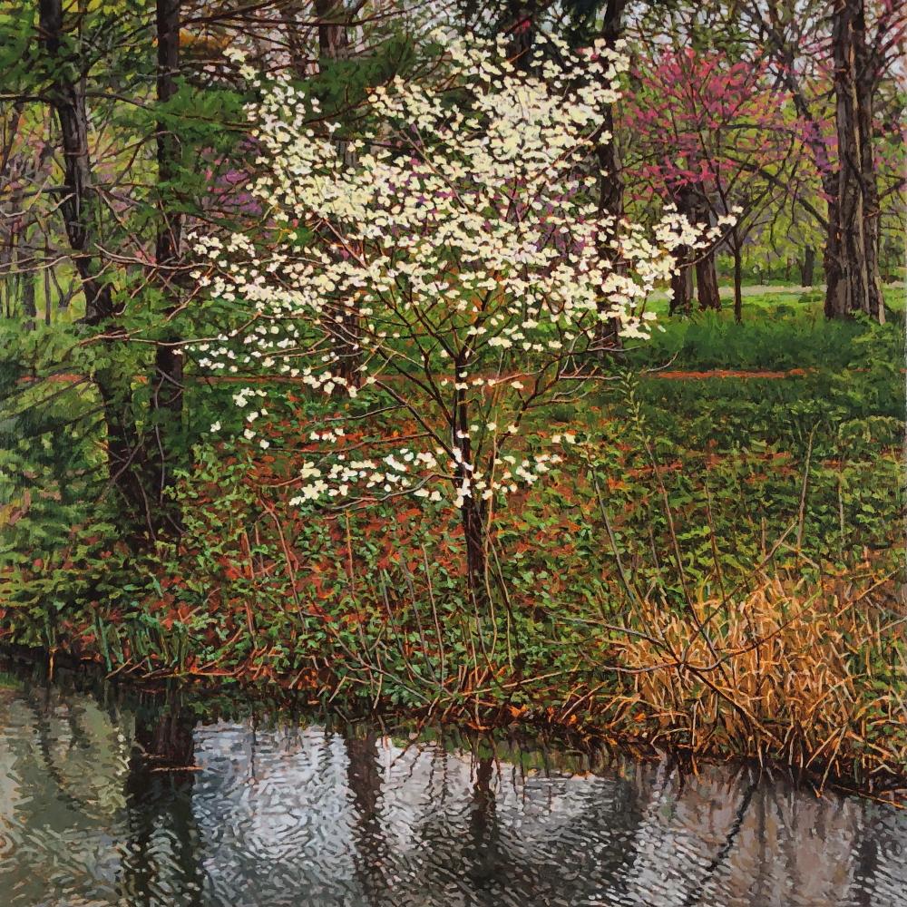 Fotorealistisches Ölgemälde auf Leinwand, gerahmt, Vorfrühling, Hartriegelbaum