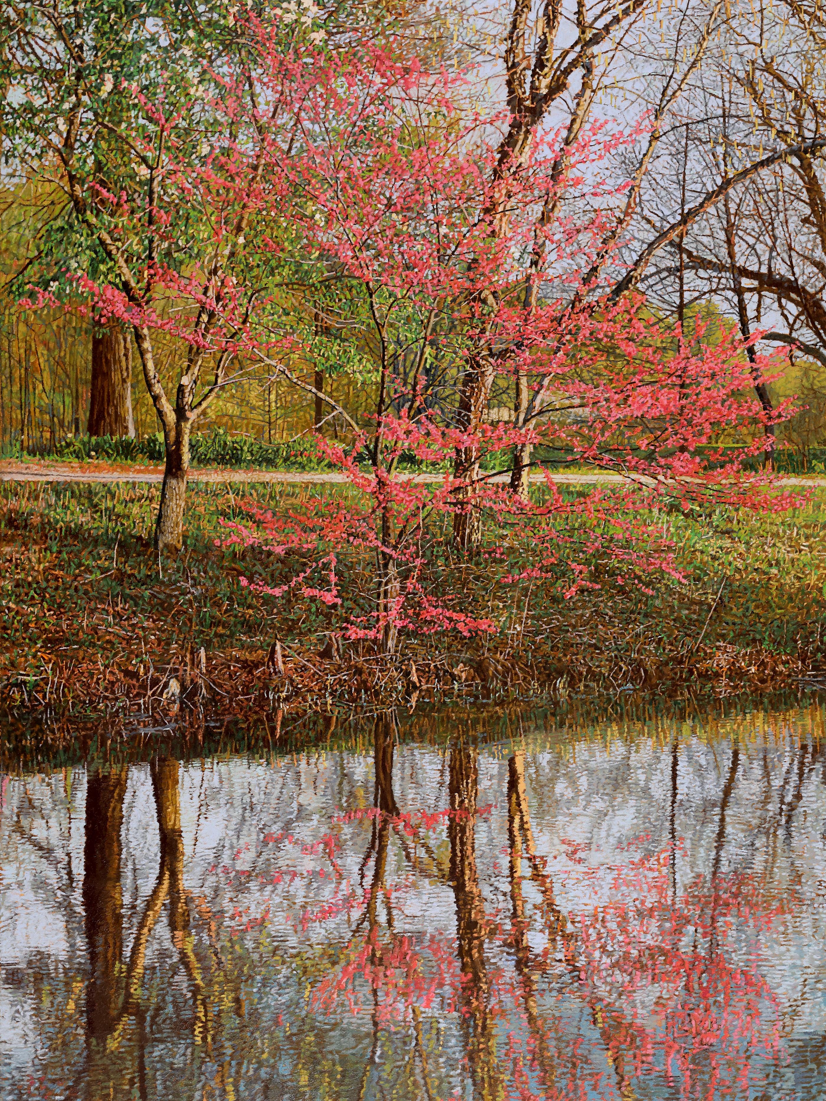 "Redbud Reflection", Photorealistic Oil Painting on Canvas, Framed in Pine