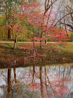 "Redbud Reflection", Photorealistic Oil Painting on Canvas, Framed in Pine