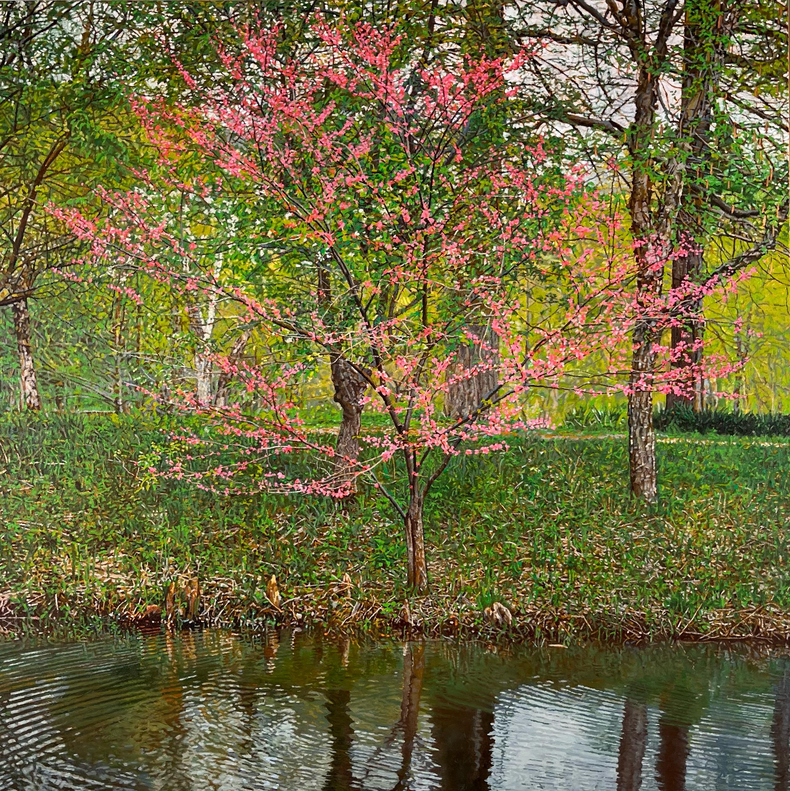 "Spring Trees Reflection", Photorealism, Landscape, Framed, Oil on Canvas - Painting by Jeffrey Vaughn