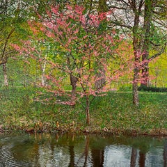 "Frühlingsbäume Spiegelung", Photorealism, Landschaft, Gerahmt, Öl auf Leinwand