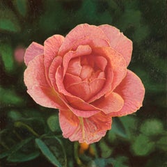 "Summer Rose", Photorealistic Oil Painting on Canvas, Framed