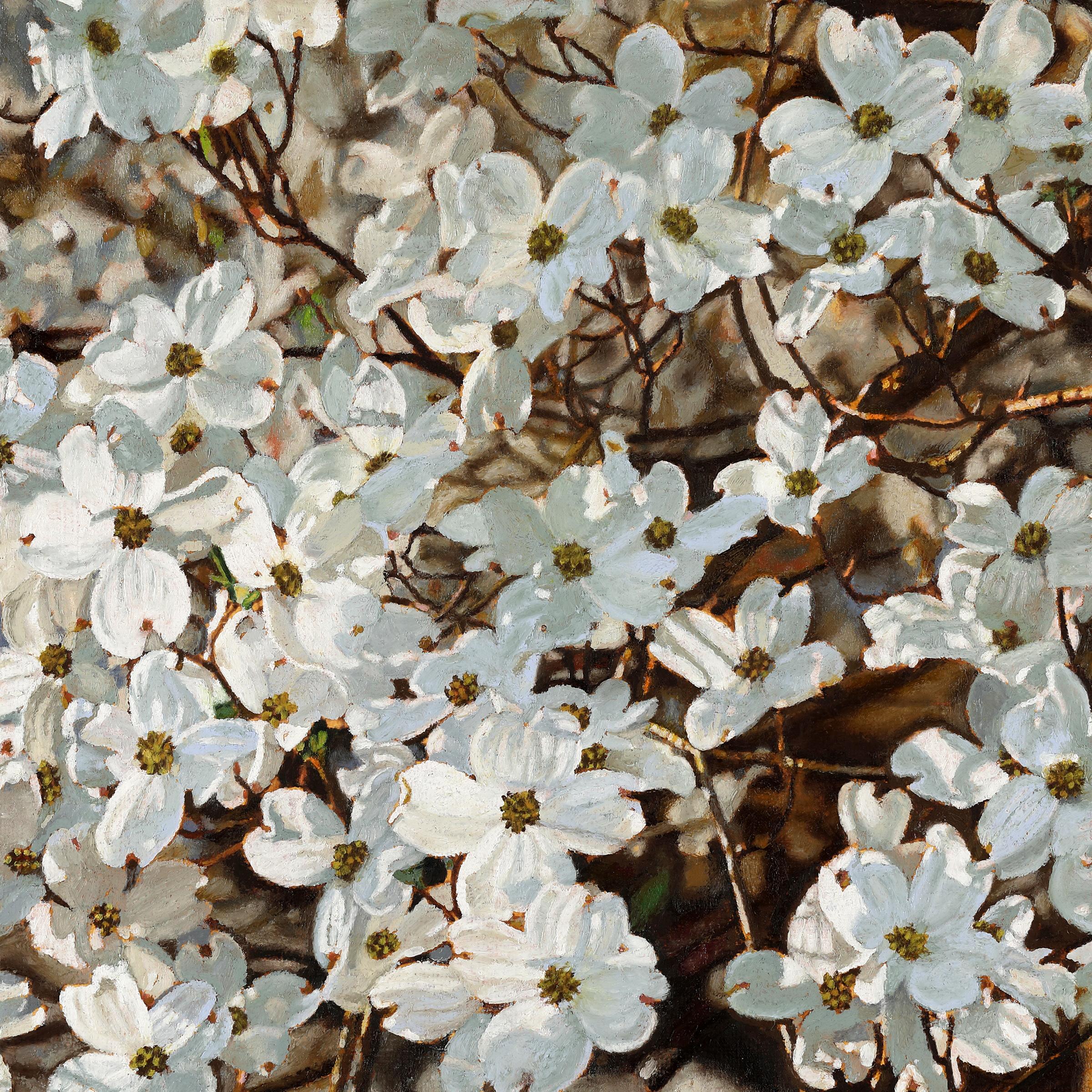 Jeffrey Vaughn Landscape Painting – "Sunlit Dogwood", Contemporary, fotorealistisch, Ölgemälde, Leinen, gerahmt