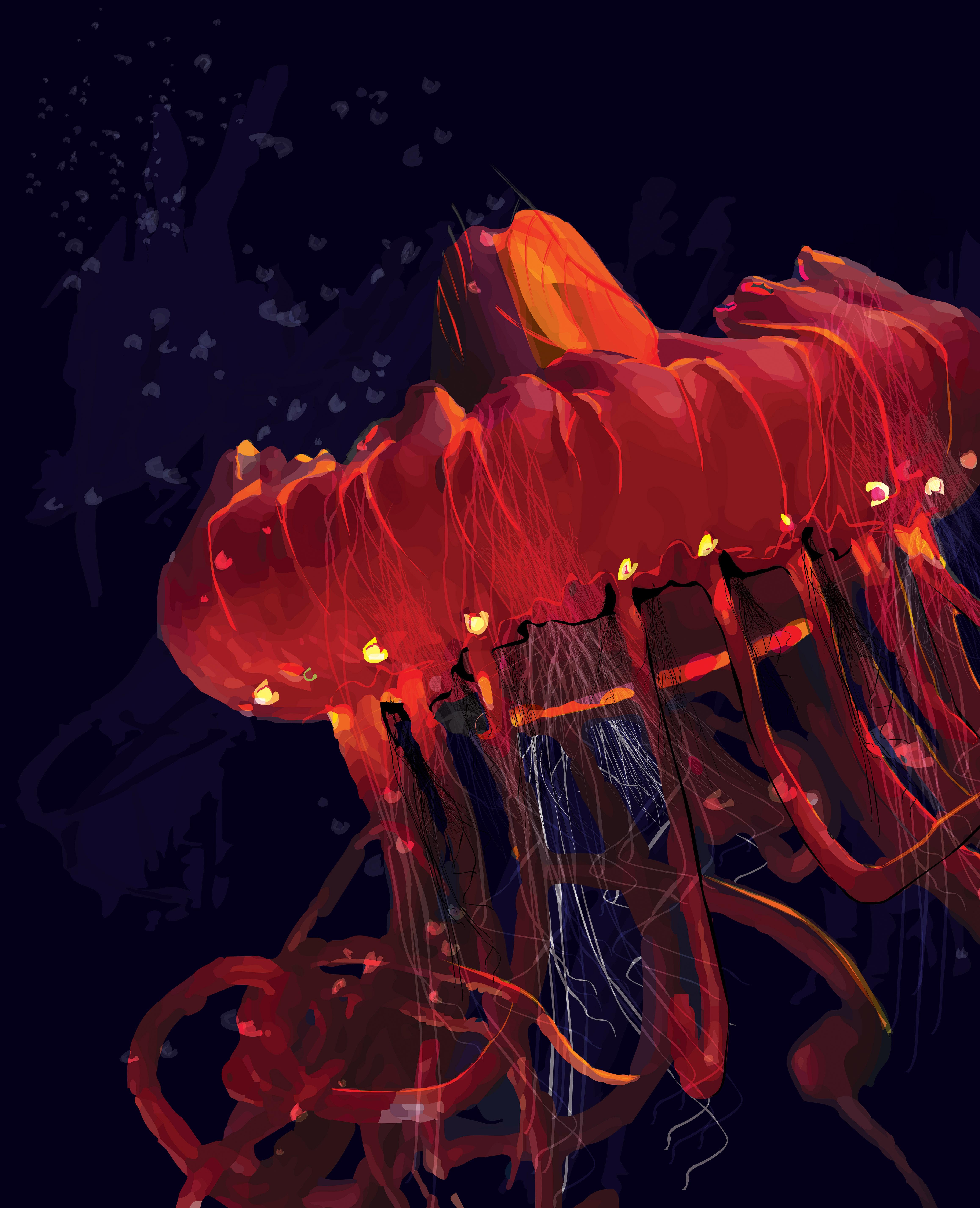 jellyfish graphic design