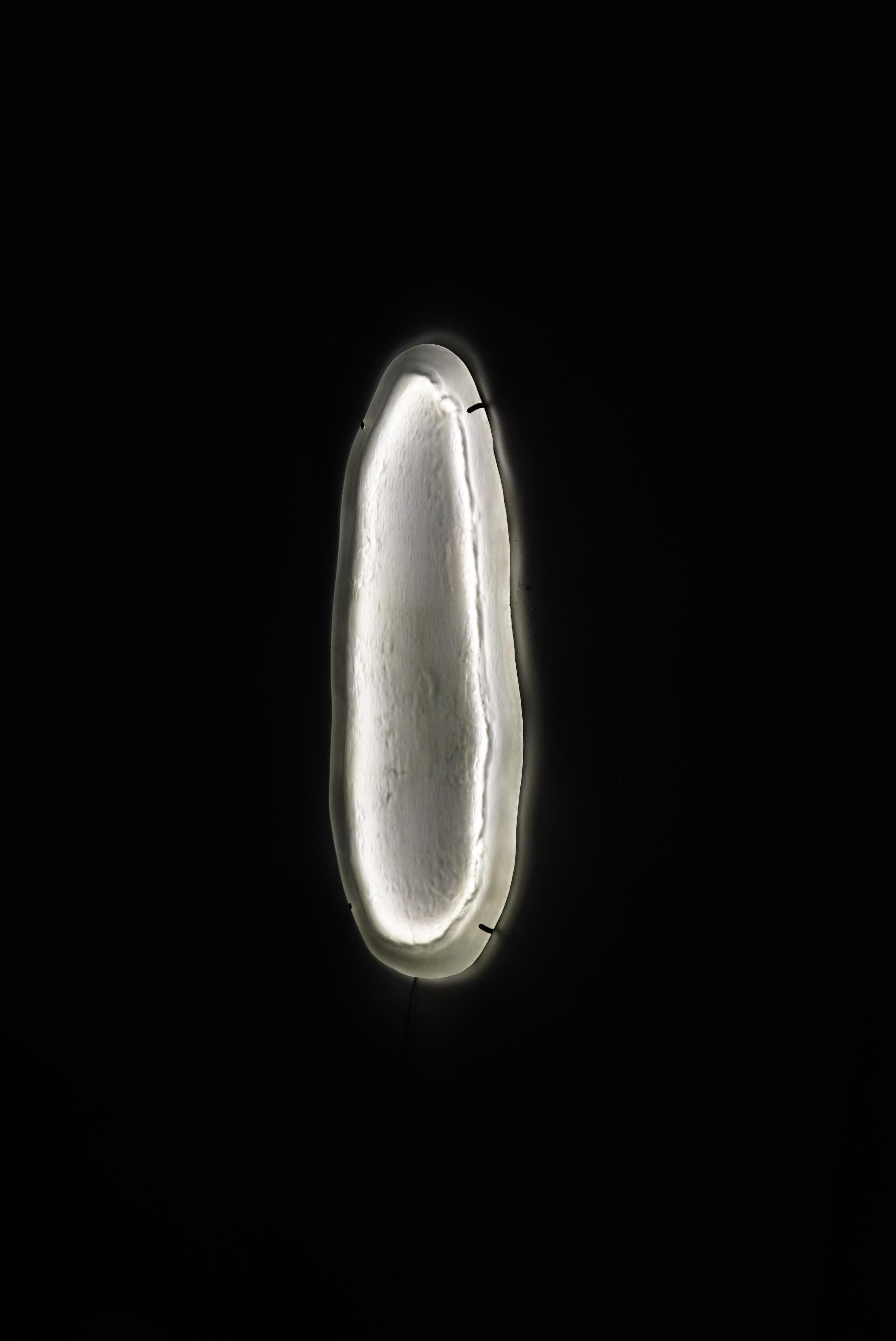Stainless Steel Jellyfish Sister Wall Lamp by Fresh Glass For Sale