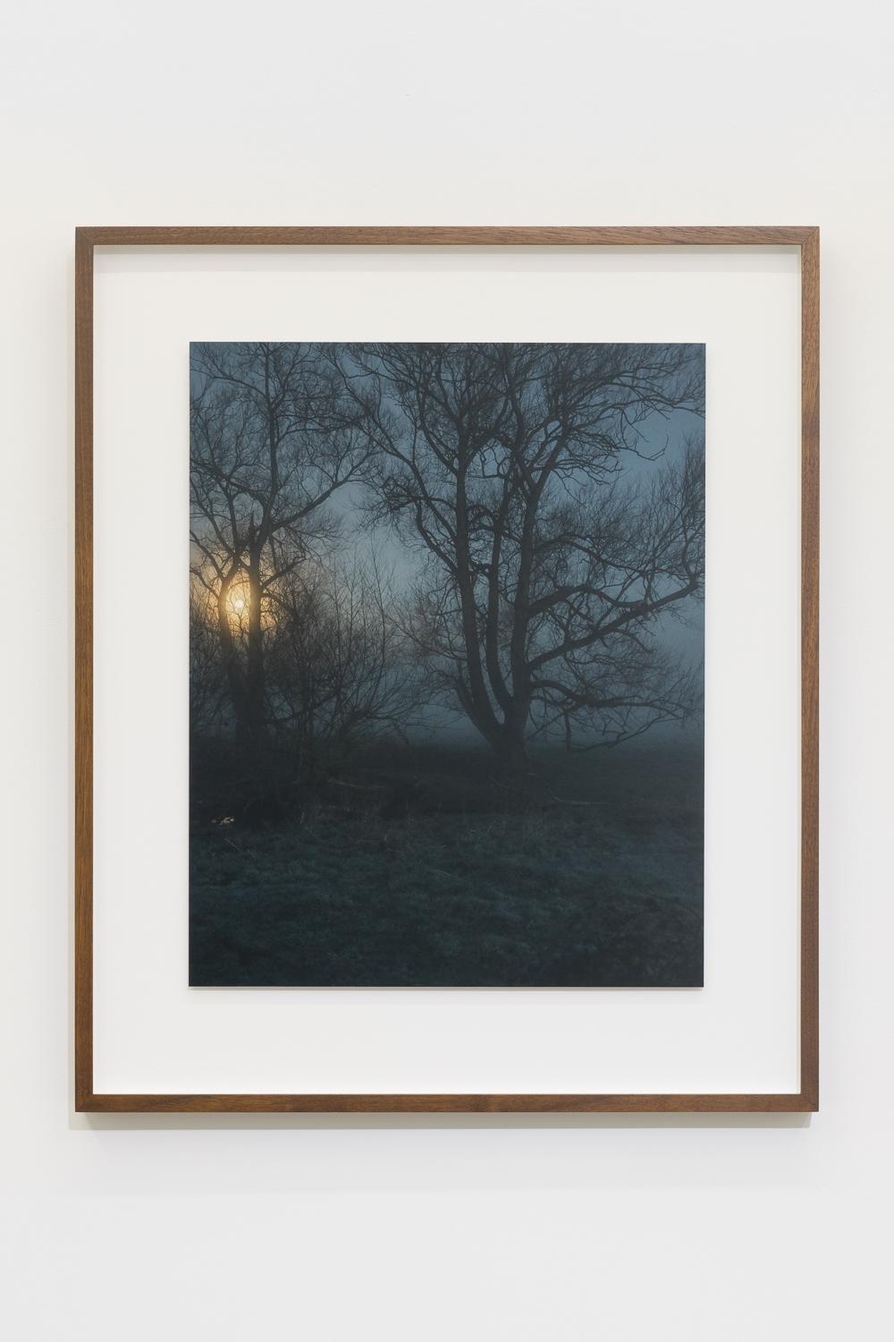 06:32:36 17 März 2022 – Photograph von Jem Southam