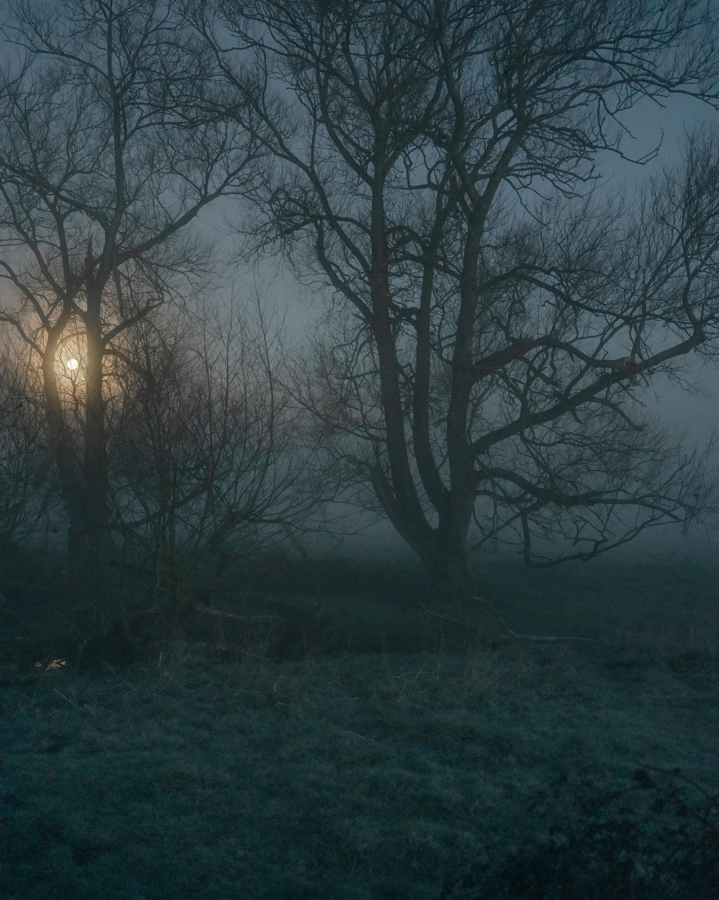 Jem Southam Landscape Photograph – 06:32:36 17 März 2022