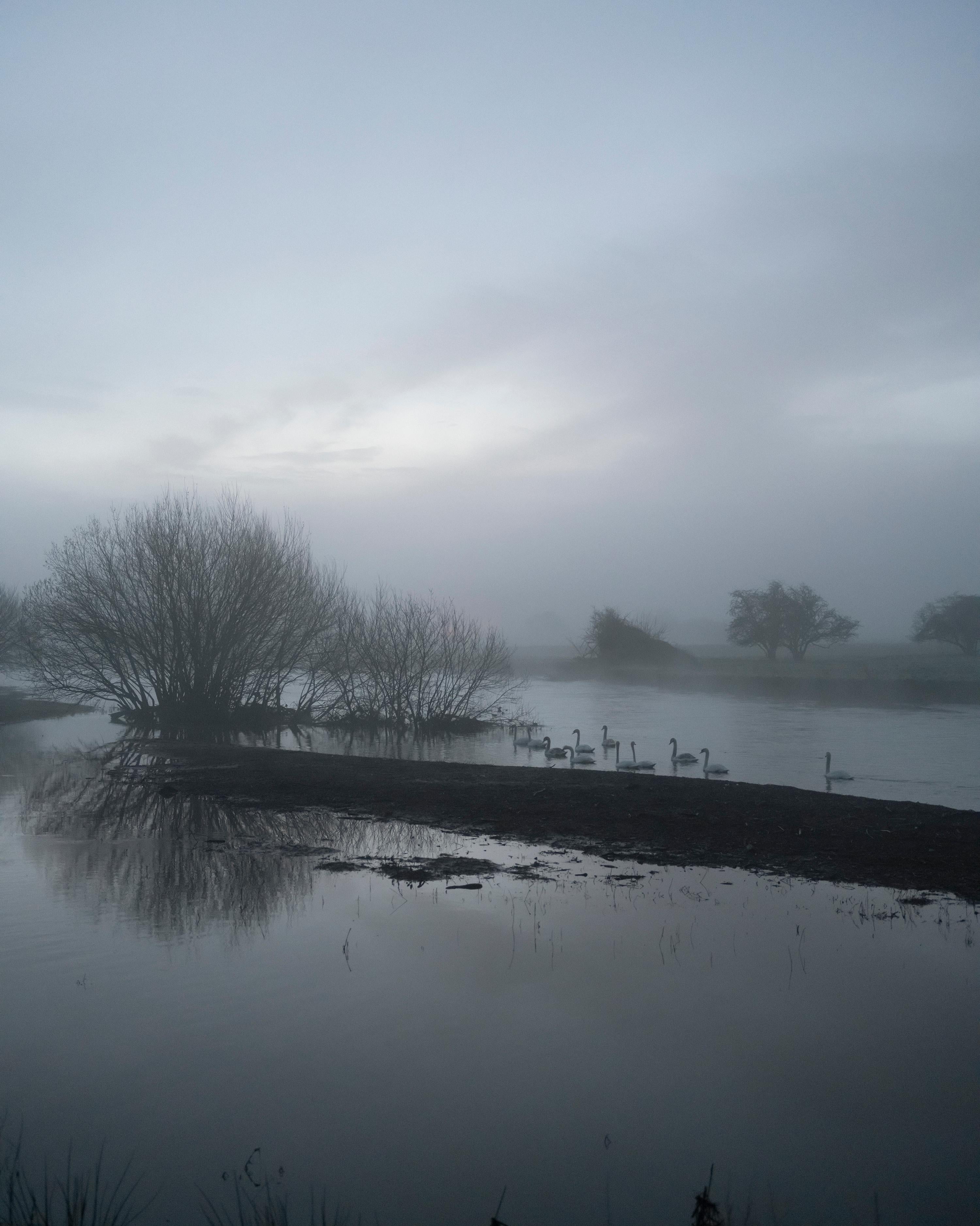 Landscape Photograph di Jem Southam - 06:44:17 14 marzo 2022
