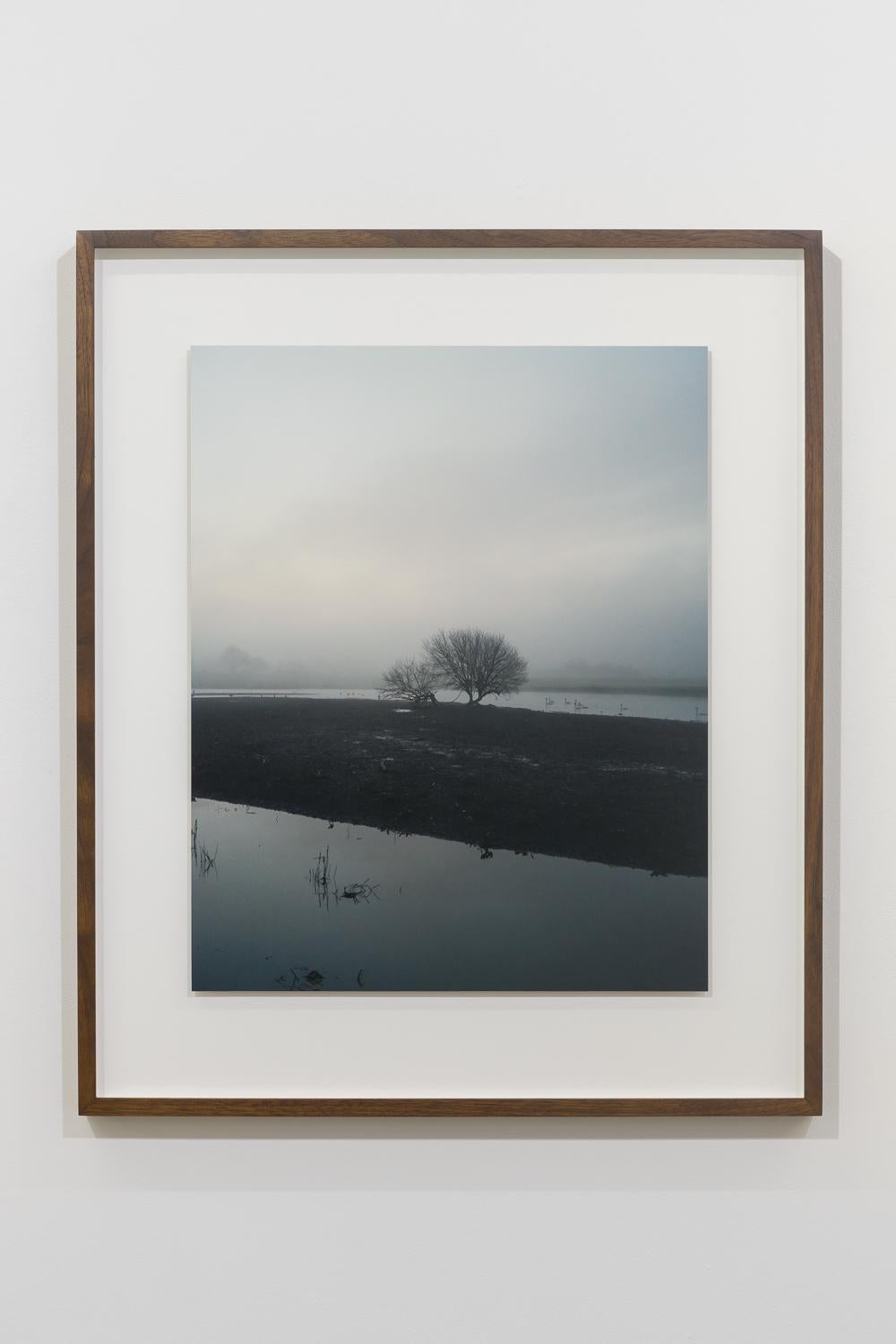 06:48:38 14 März 2022 – Photograph von Jem Southam