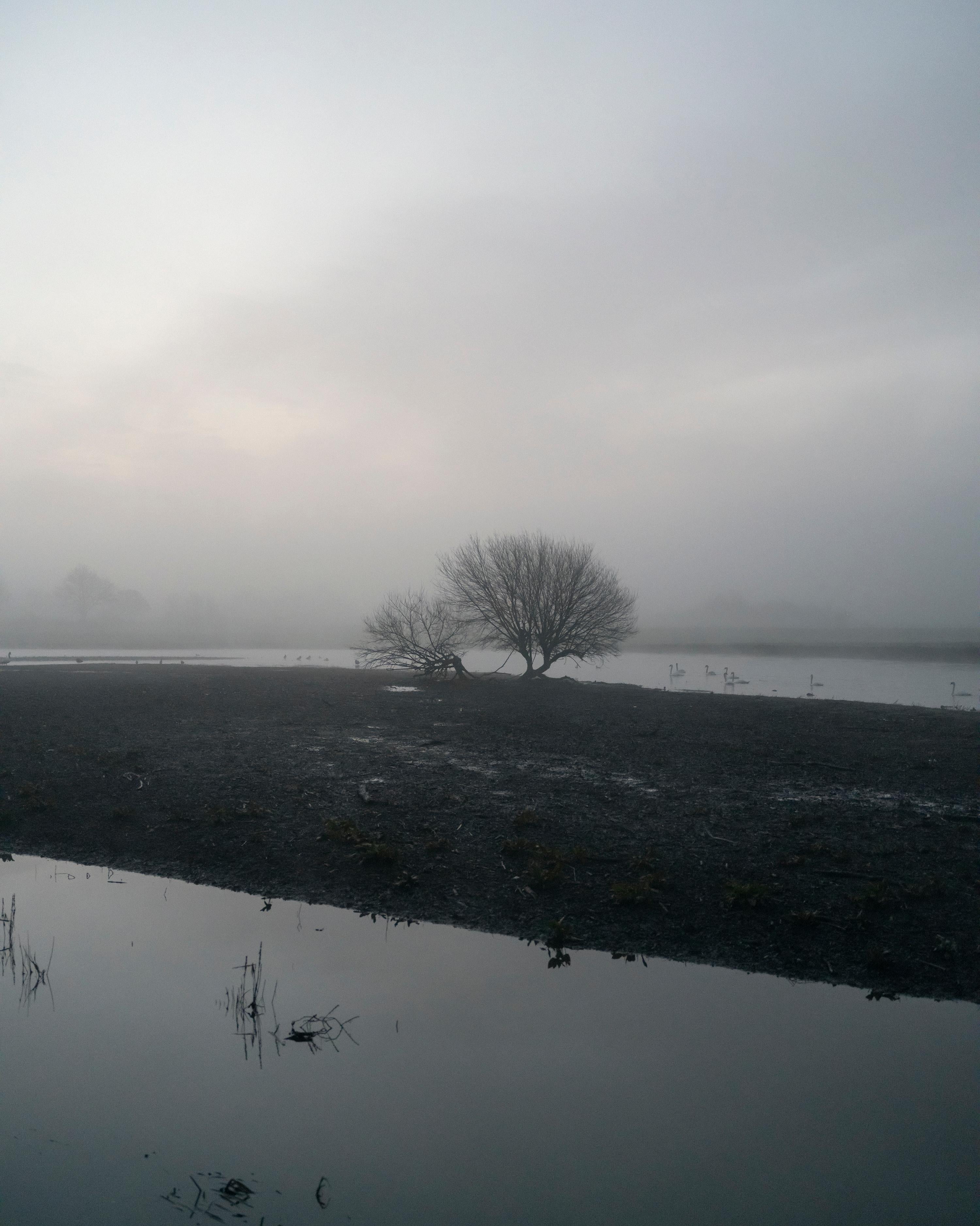 Jem Southam Landscape Photograph – 06:48:38 14 März 2022