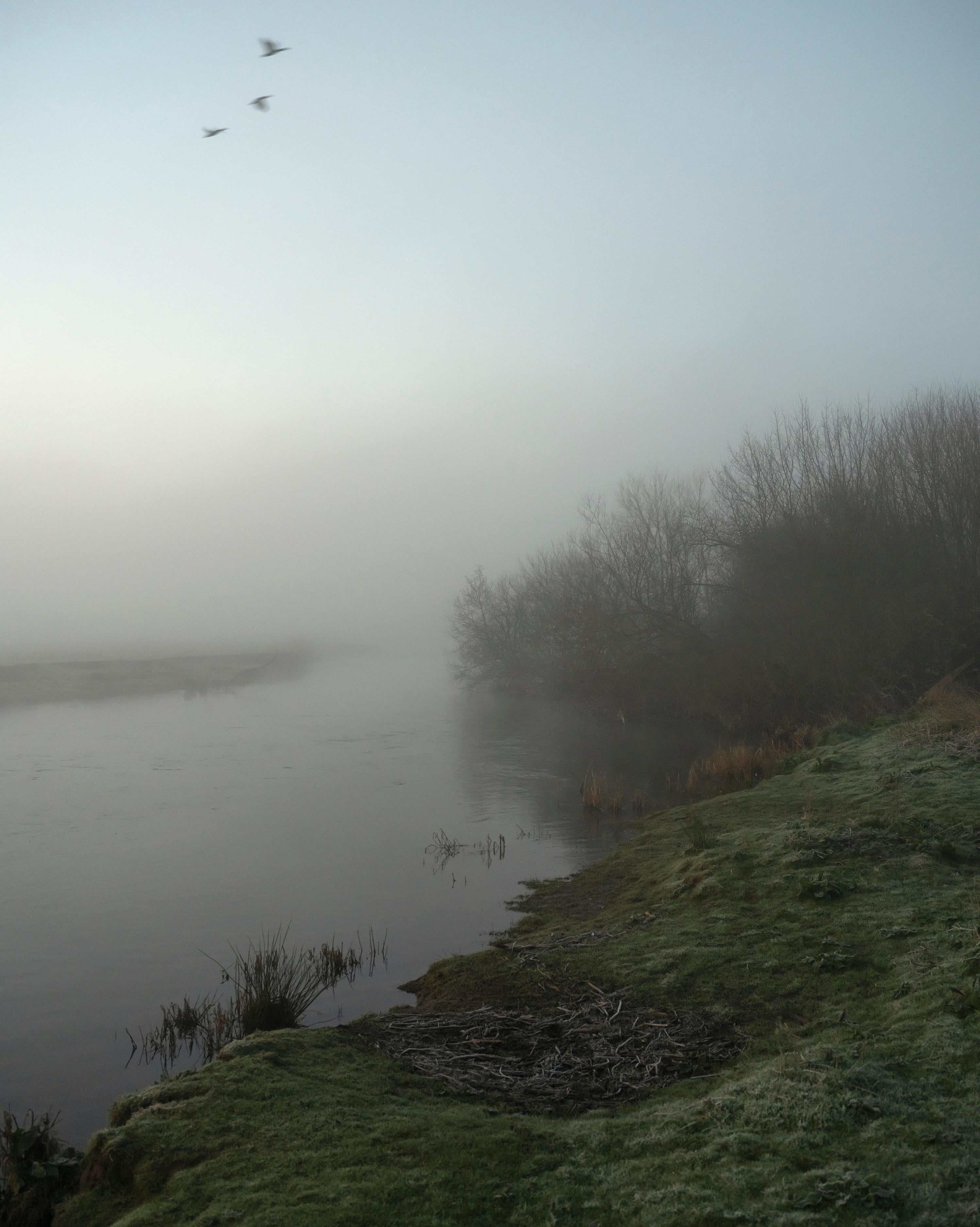 Jem Southam Landscape Photograph – 06:52:12 17 März 2022