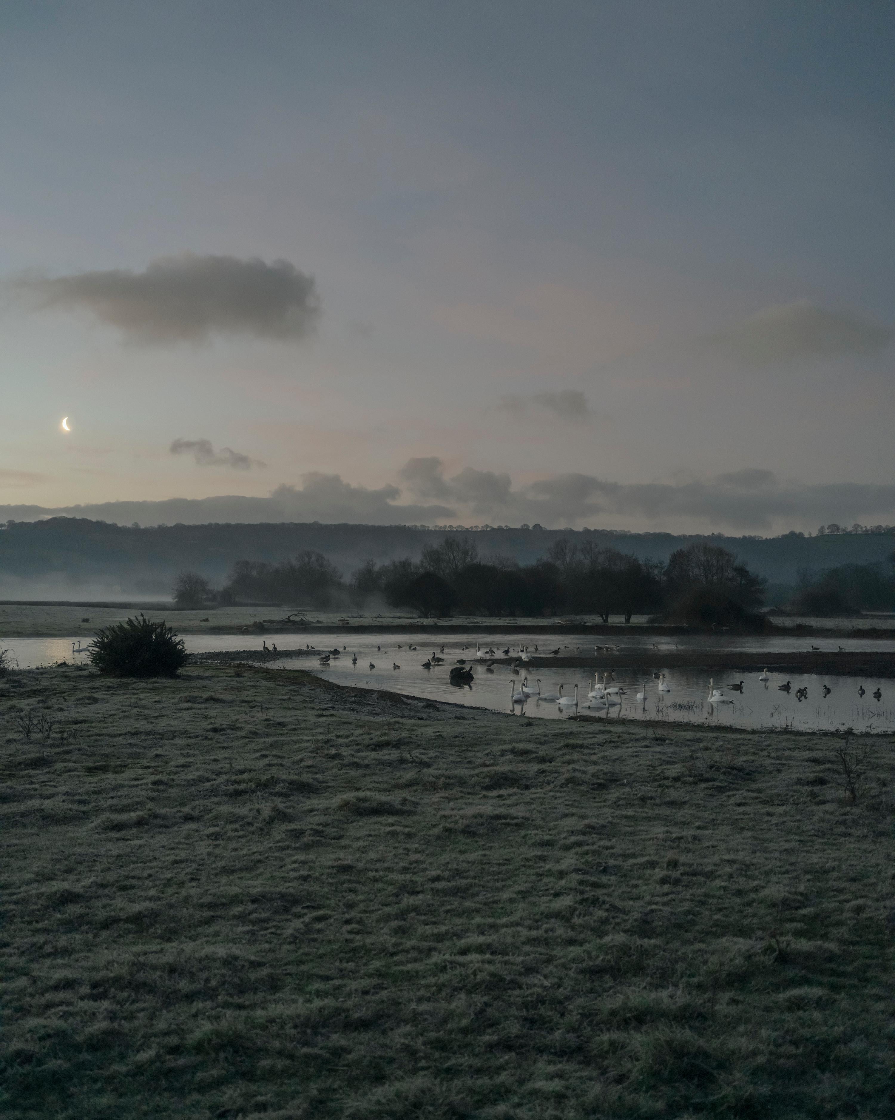 Jem Southam Landscape Photograph – 07:13:13 26 Februar 2022
