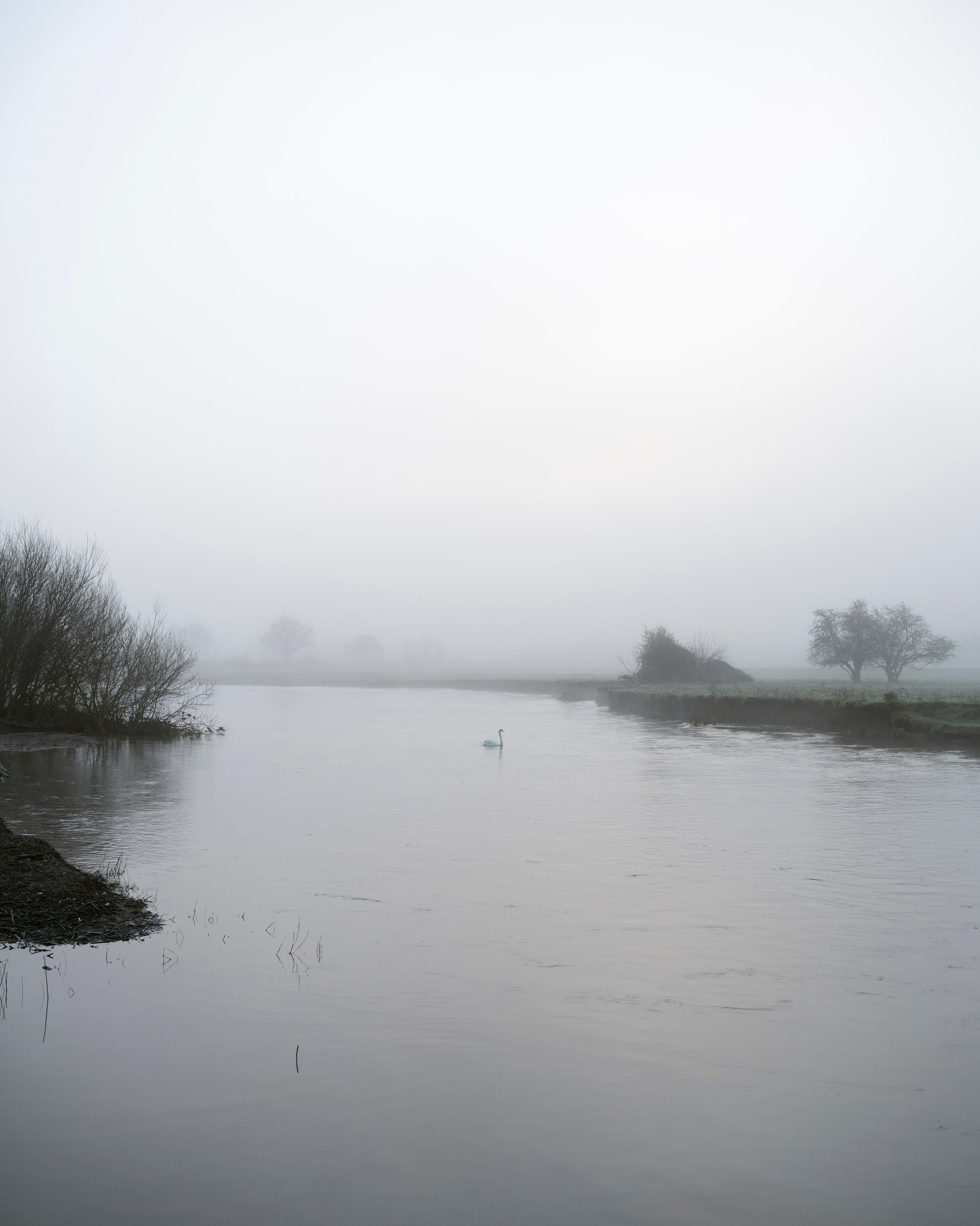 Jem Southam Landscape Photograph – 07:31:26 18 März 2022