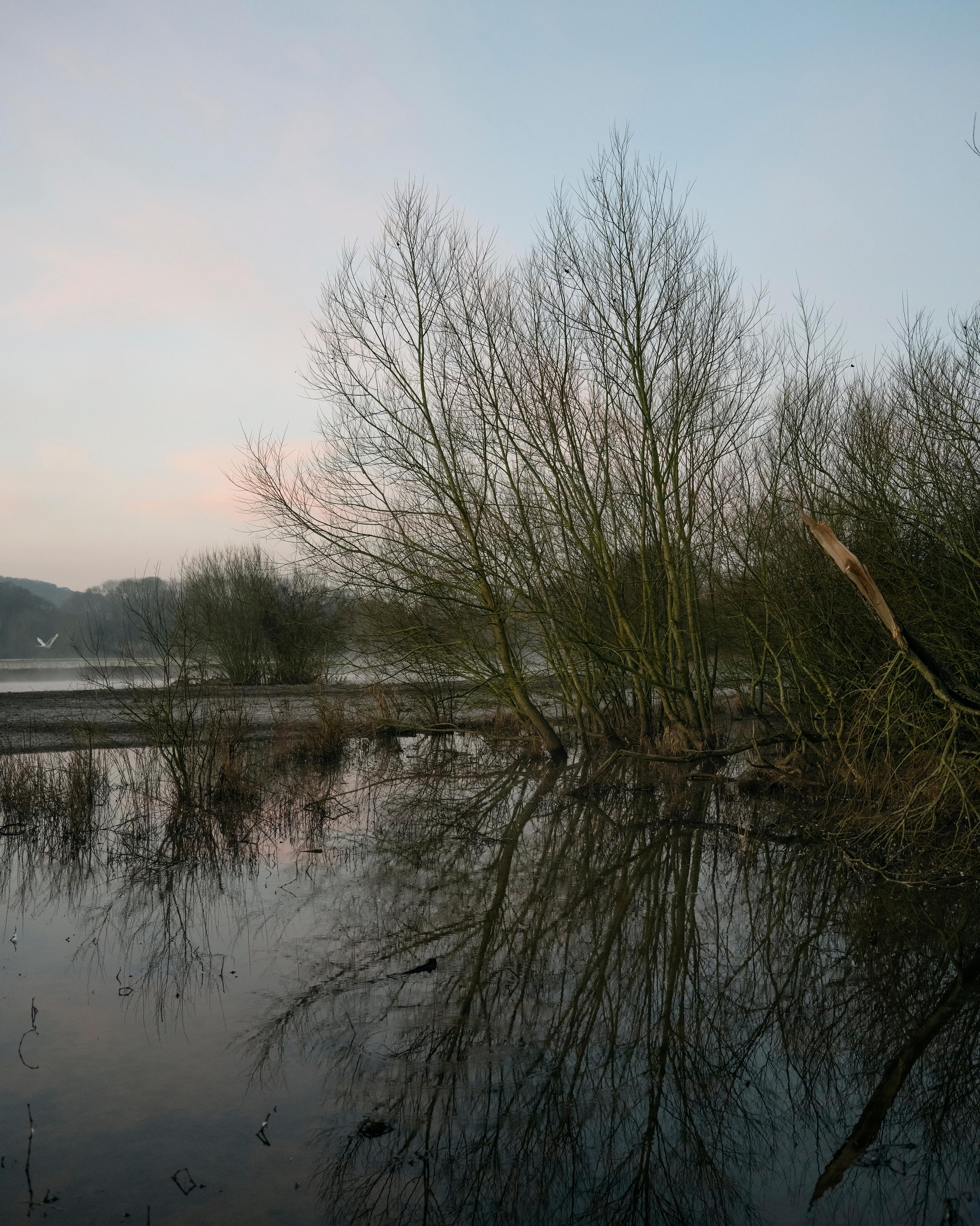 Jem Southam Landscape Photograph – 07:42:40 26 Februar 2022