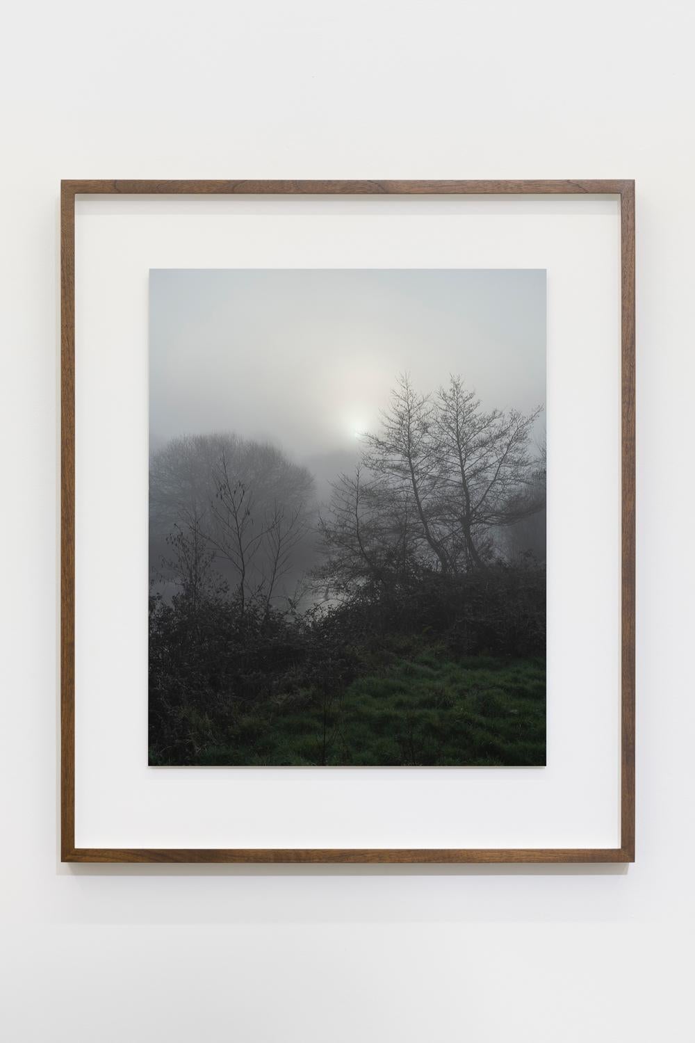 08:03:16 18 März 2022 – Photograph von Jem Southam