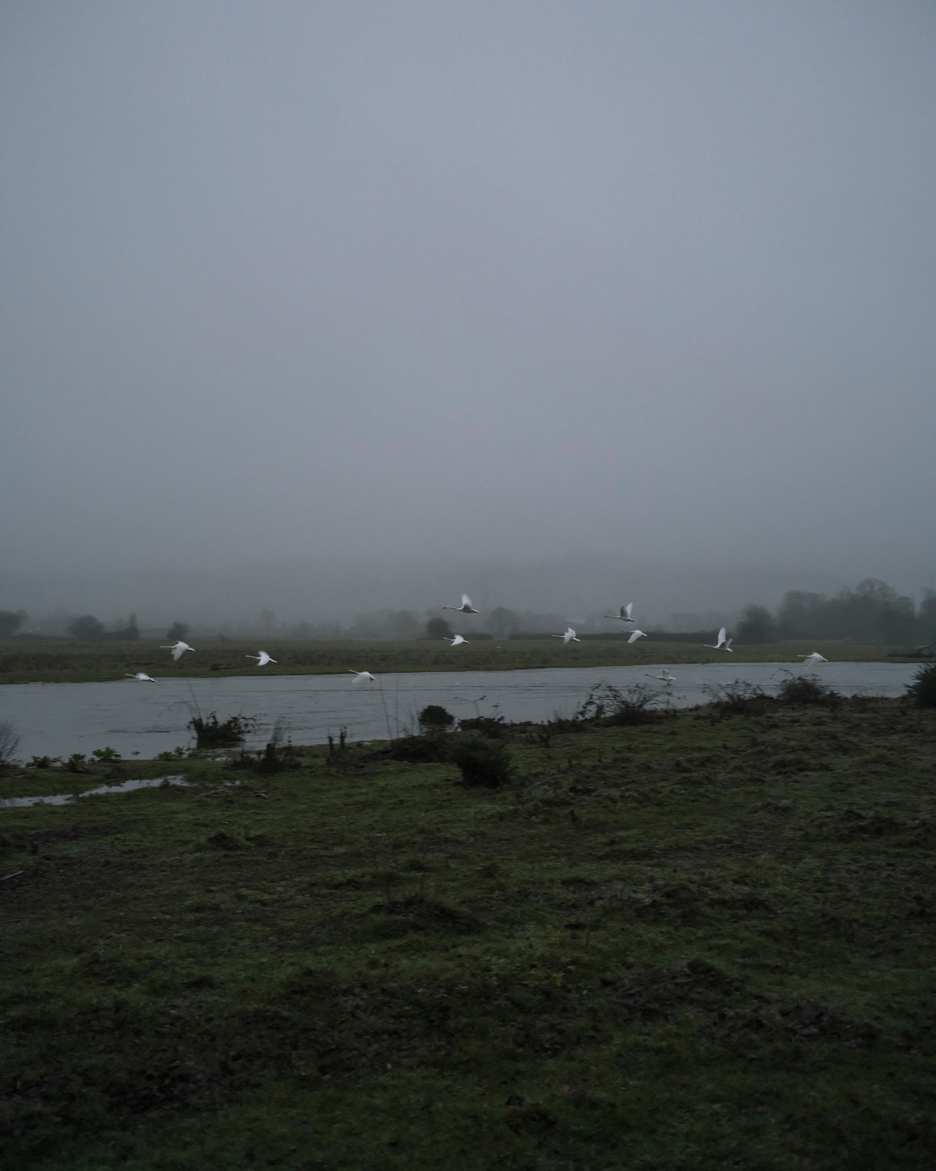 Jem Southam Landscape Photograph – 08:37:31 10 Januar 2022