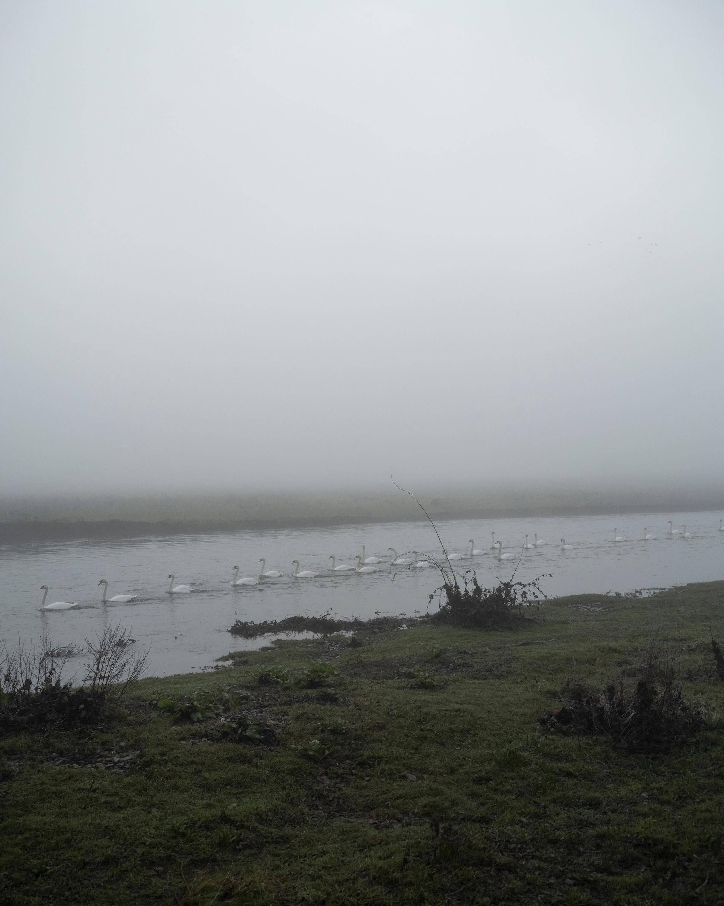 Jem Southam Landscape Photograph – 08:53:14 14 Januar 2022