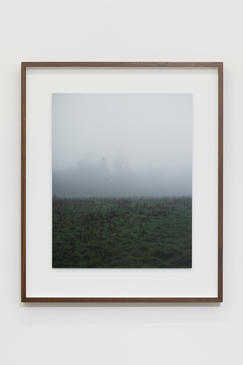 09:17:12 14 Januar 2022 – Photograph von Jem Southam