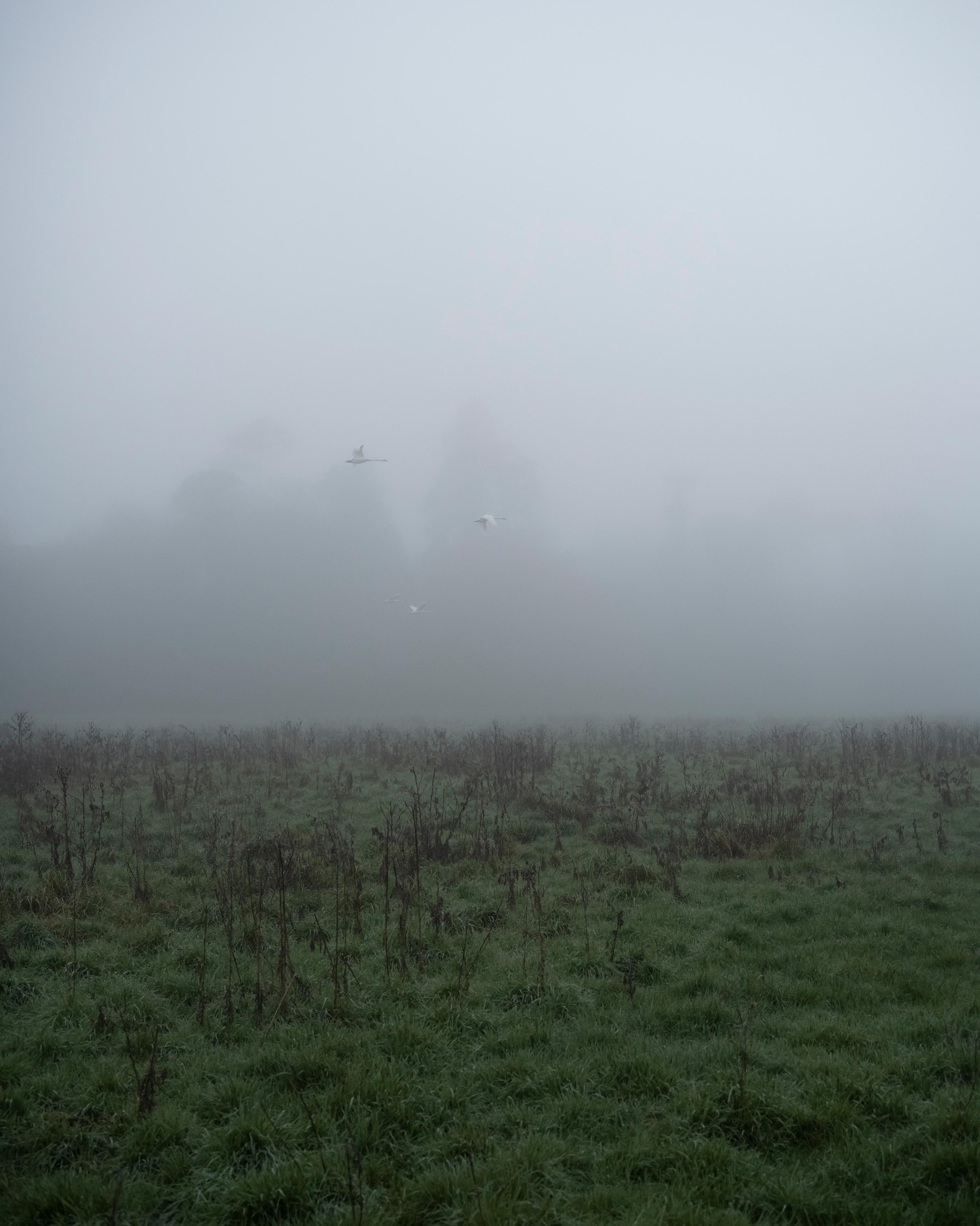 Jem Southam Landscape Photograph – 09:17:12 14 Januar 2022