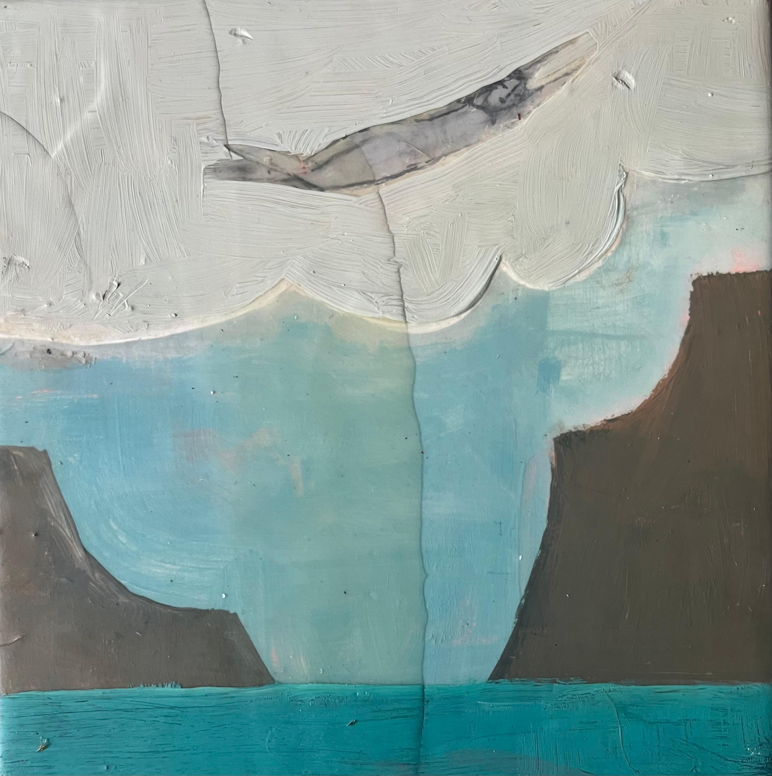 Sueño Volador II