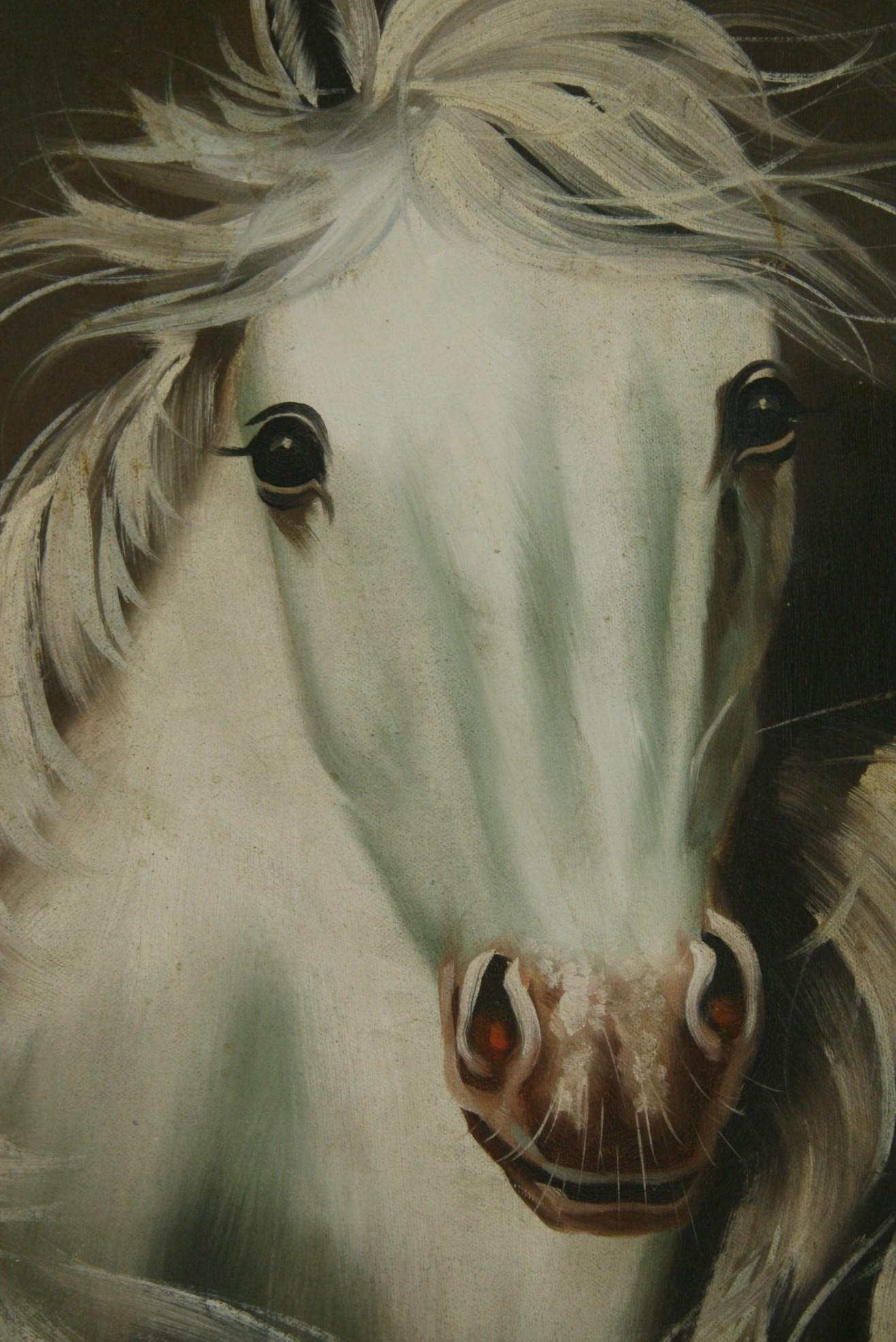 Vintage White Stallion Equestrian Oil Painting (peinture à l'huile) en vente 1