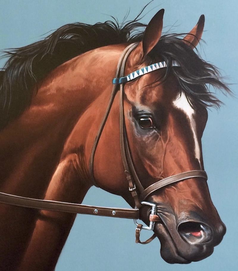 cigar caballo