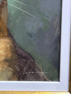 Portrait réaliste américain d'un renard, paissant à la lumière