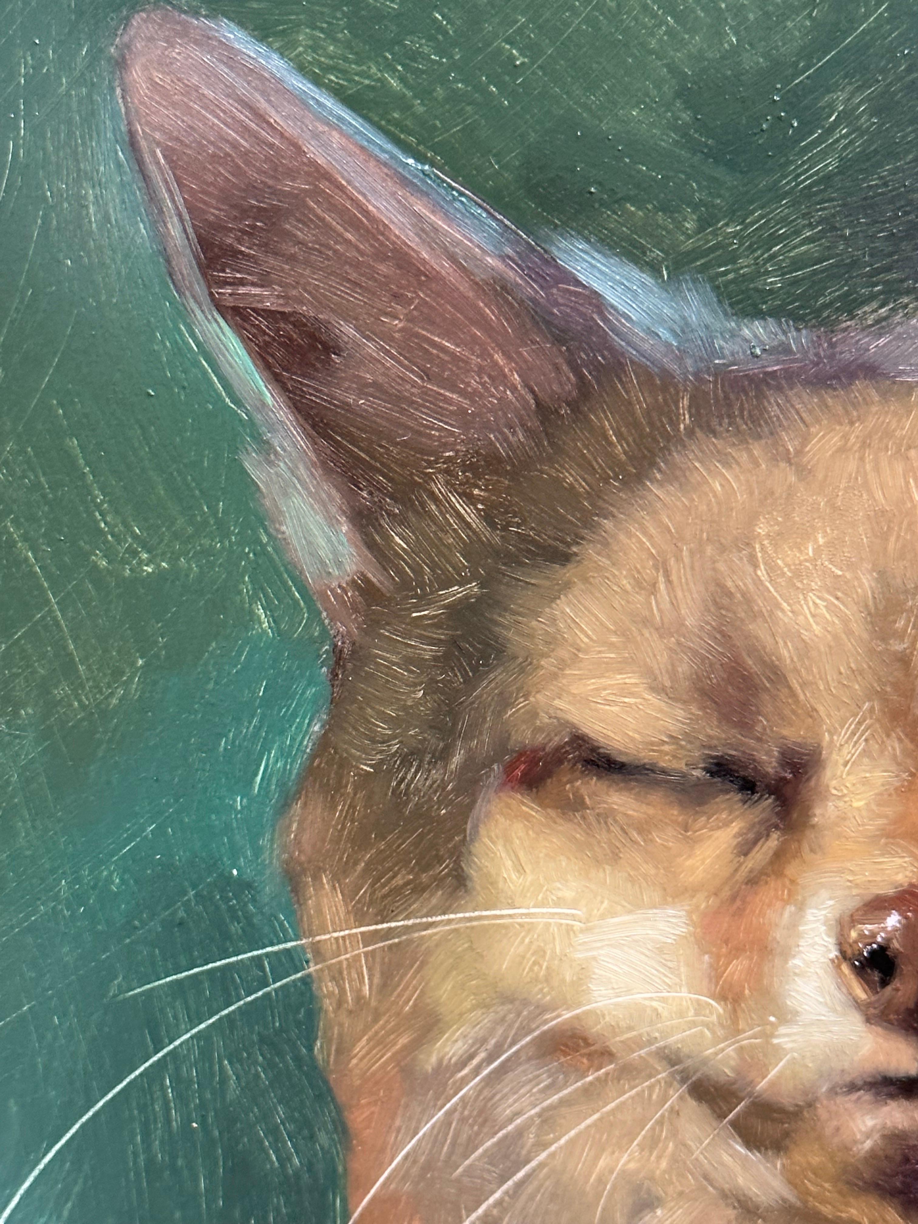 Splendido ritratto di volpe realizzato da uno dei migliori pittori di animali attualmente in circolazione.
L'artista ha creato un incredibile ritratto a grandezza naturale con un carattere così forte.
Questo pezzo è incorniciato in una nuova cornice