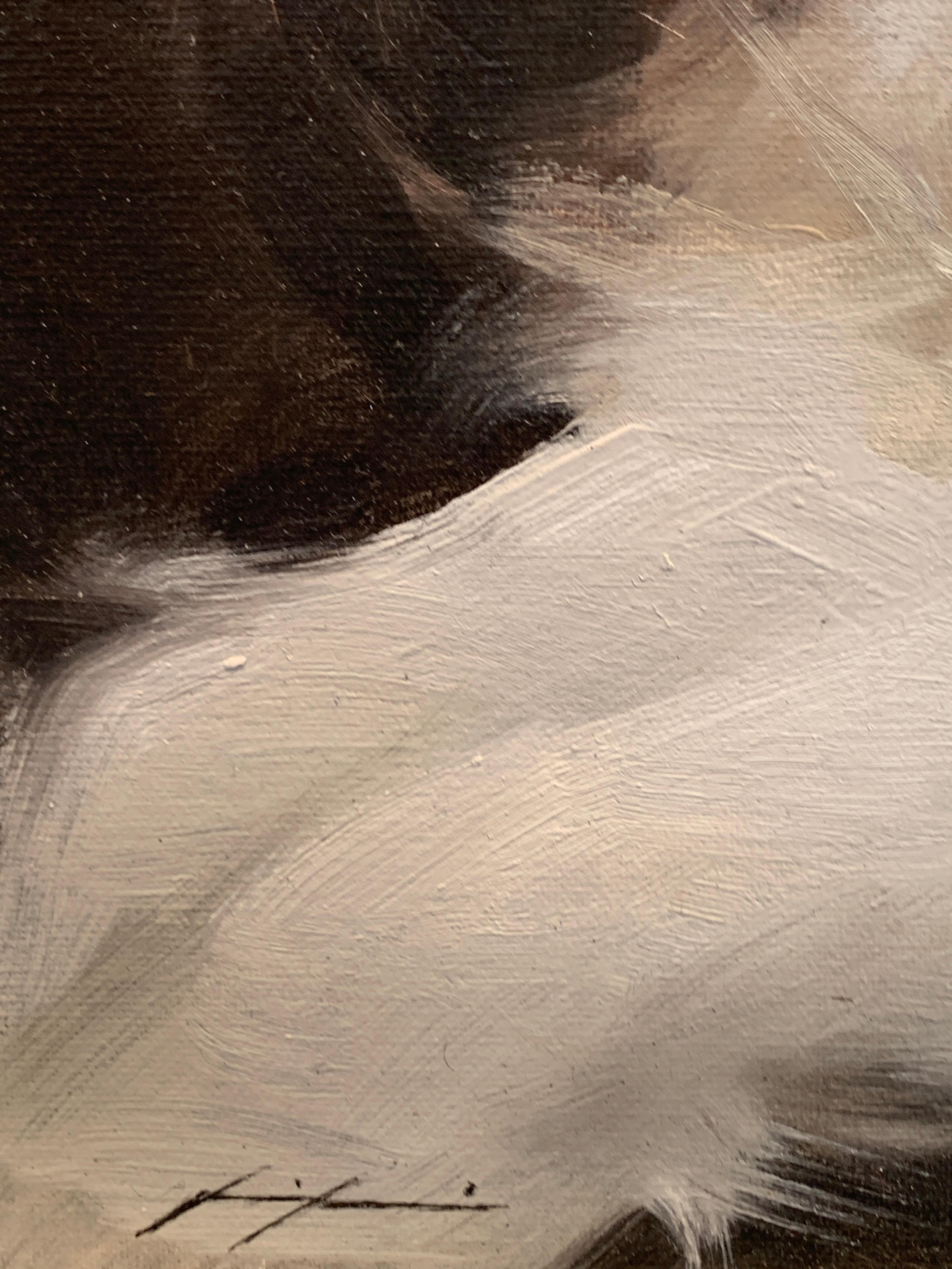 lasalle spaniel