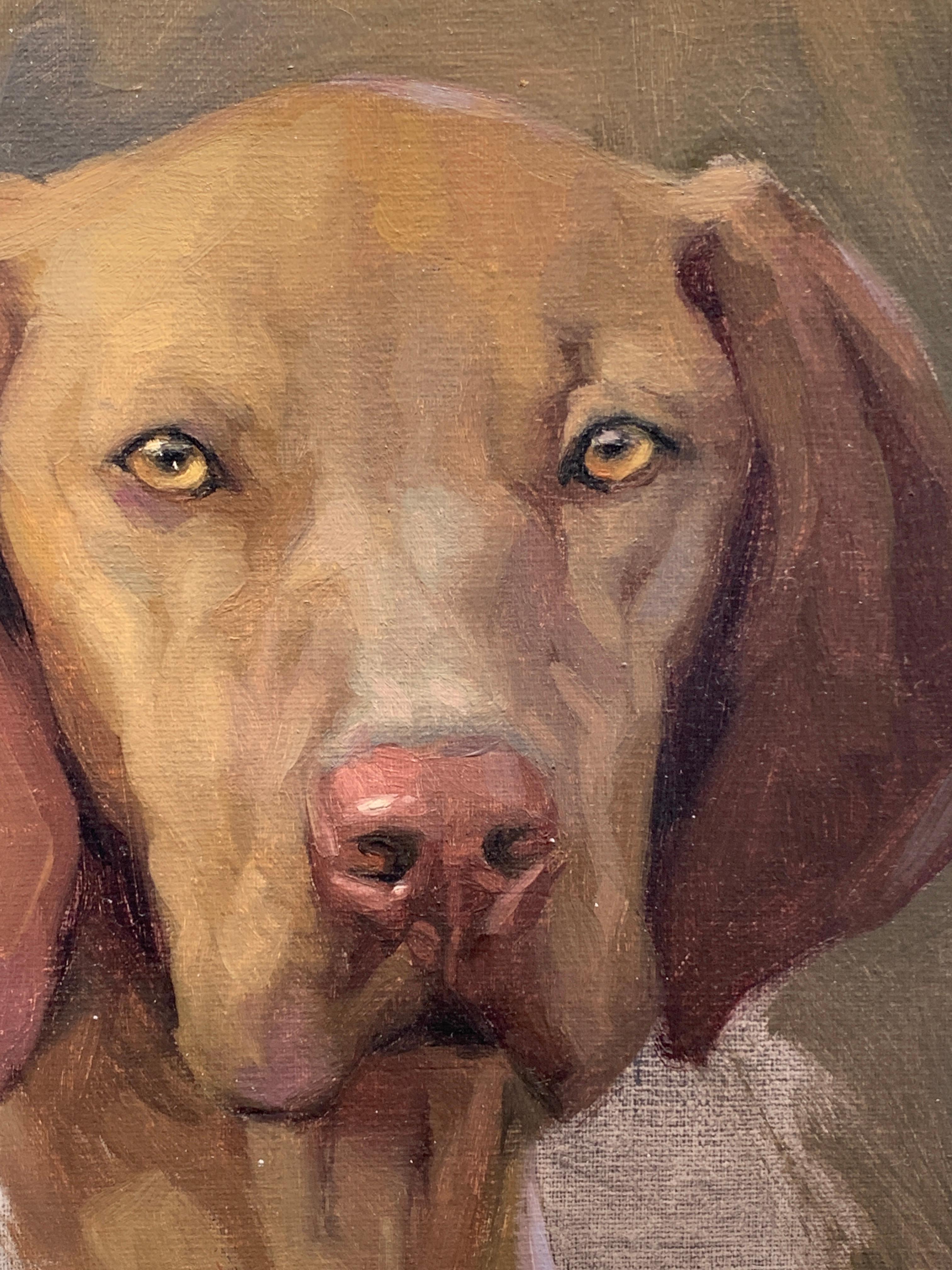 Exceptional Portrait sketch of a Polish Vistula dog - Painting by Jennifer Gennari