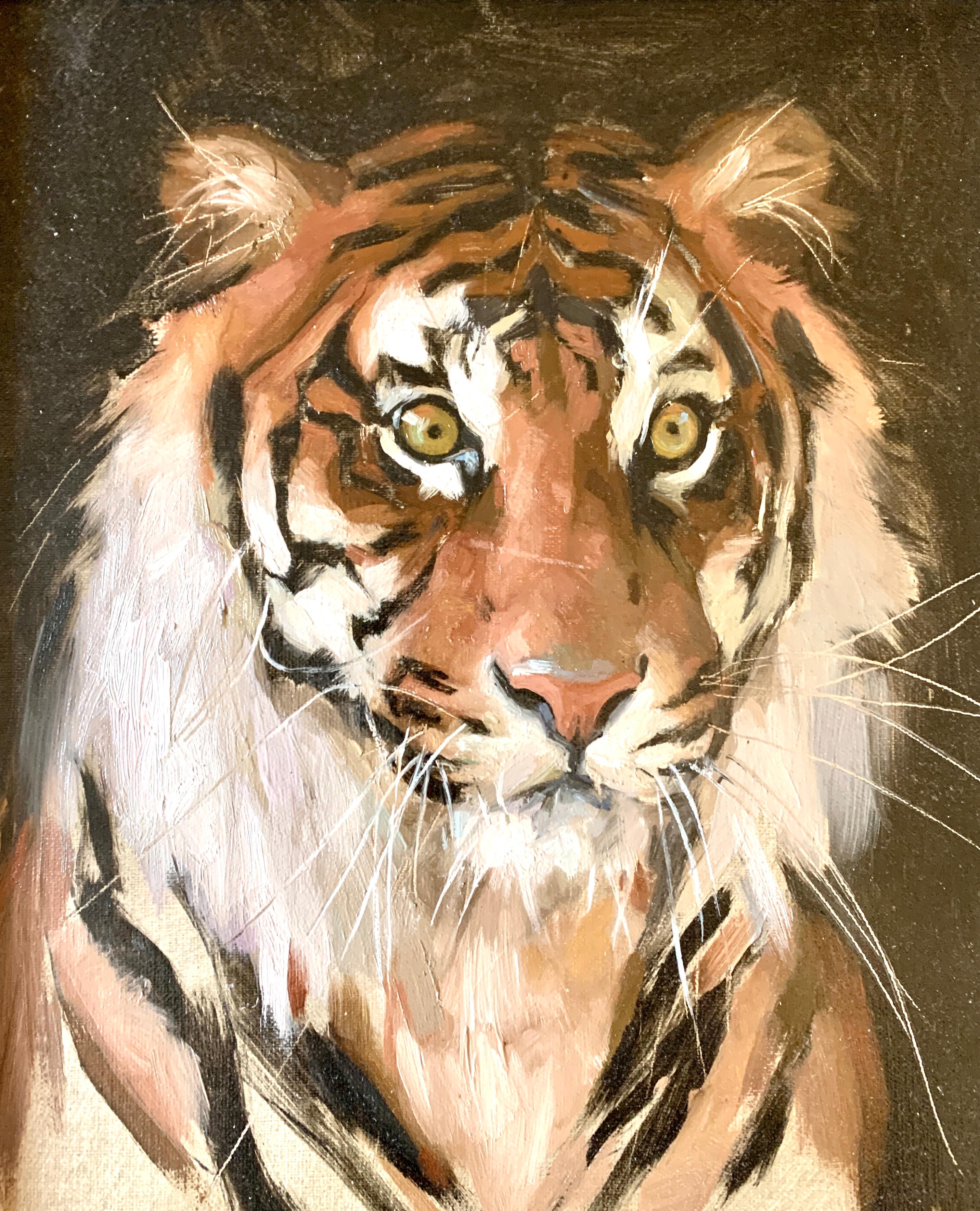 Portrait of a Tiger, looking at the painter/artist - Painting by Jennifer Gennari