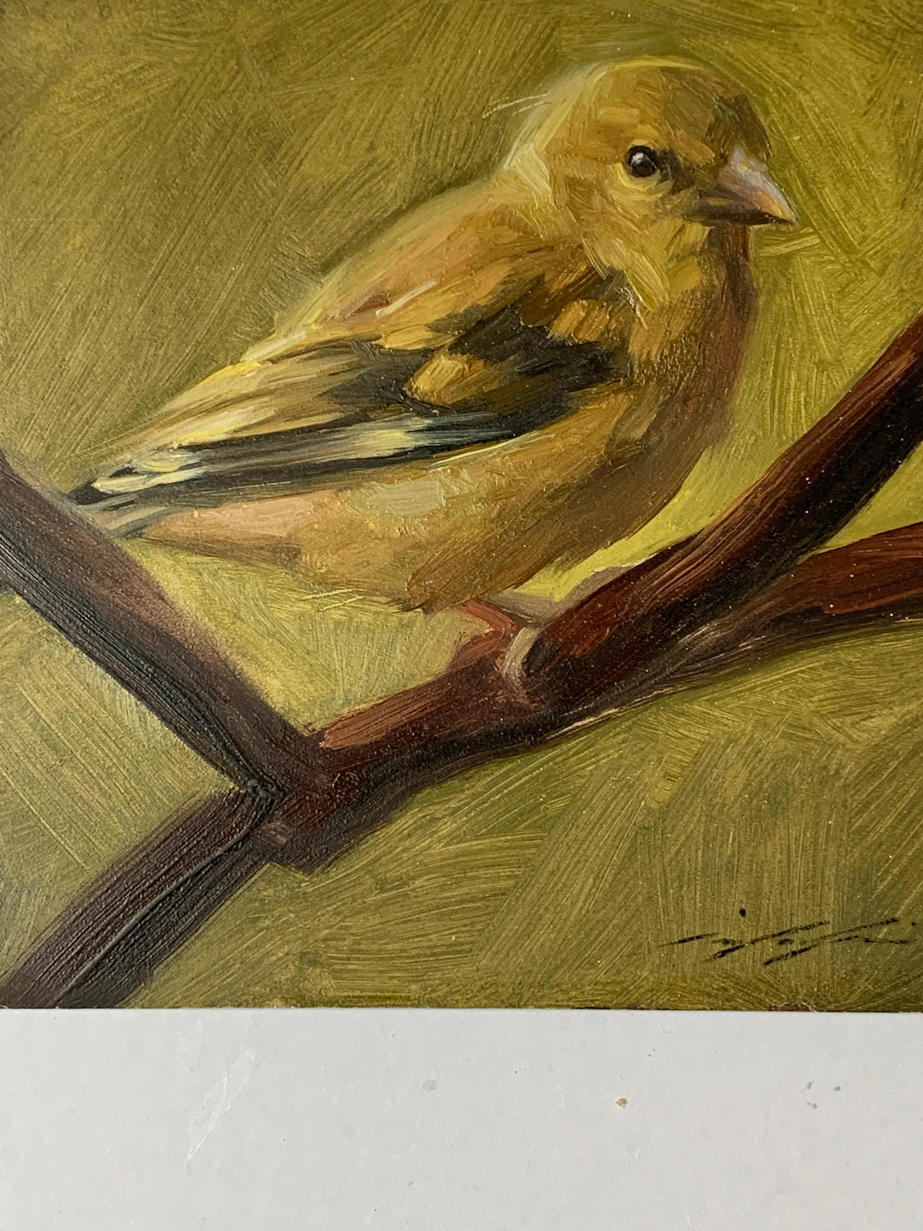Portrait of a Yellow finch Bird. With wonderful feathering and character  - Painting by Jennifer Gennari