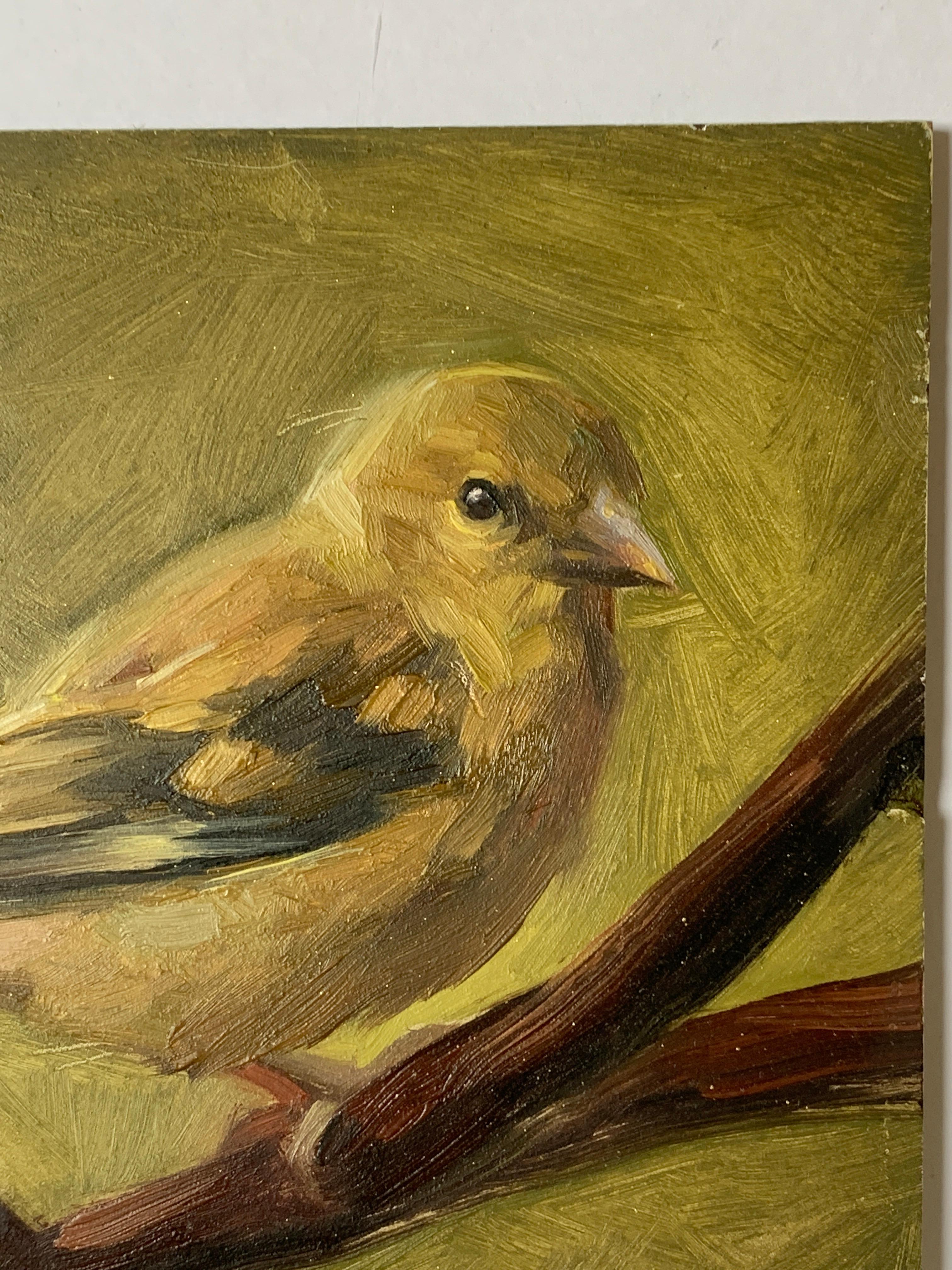 picture of a yellow finch