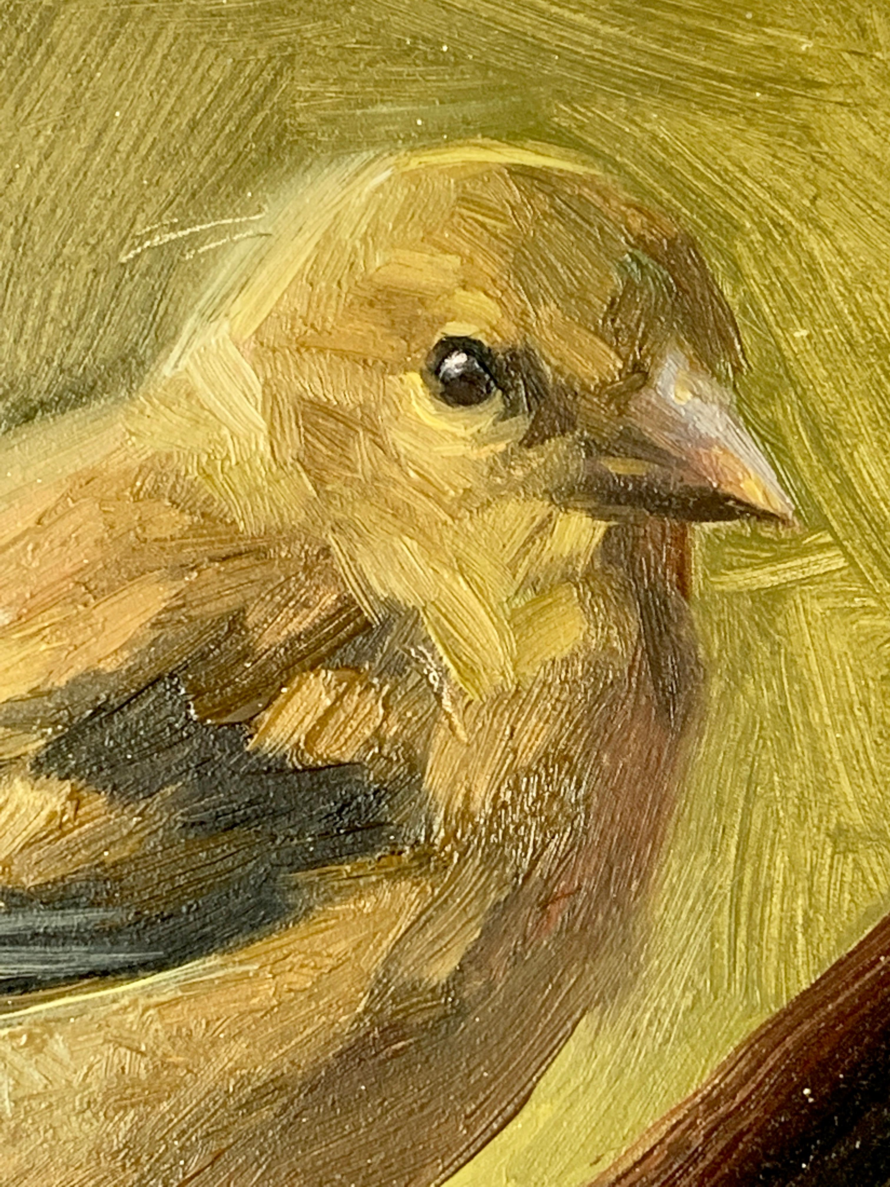 Portrait of a Yellow finch Bird. With wonderful feathering and character  - American Realist Painting by Jennifer Gennari
