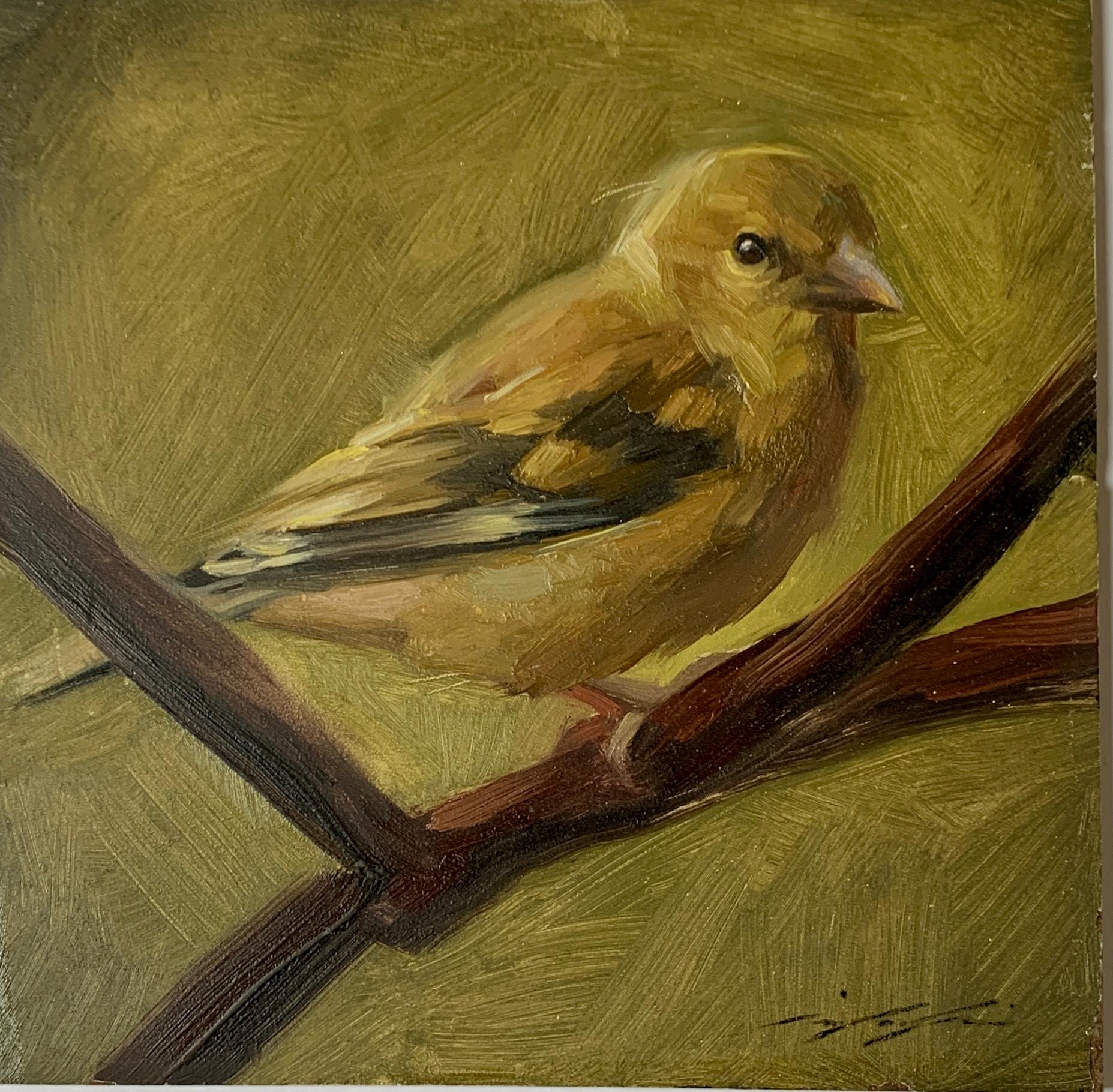 Jennifer Gennari Portrait Painting - Portrait of a Yellow finch Bird. With wonderful feathering and character 