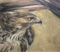 Portrait of an American Eagle in a landscape.With wonderful feathering.
