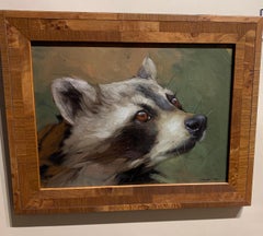 Portrait of an American Raccoon.