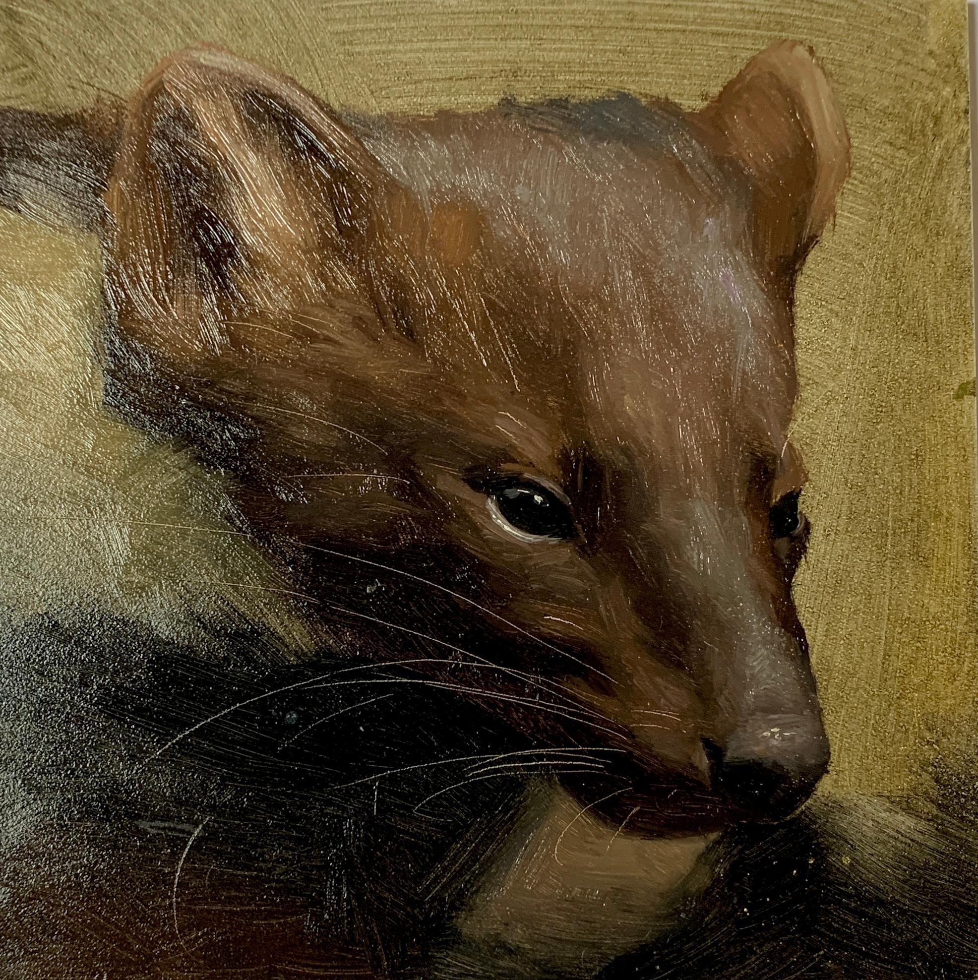 Portrait of an American Weasel head, with amazing painted hair.