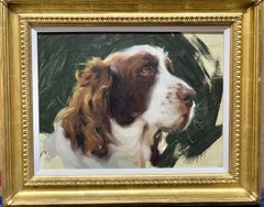 Realistic portrait study of an English Springer or Cocker spaniel dog