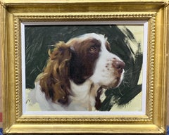Realistic portrait study of an English Springer or Cocker spaniel dog