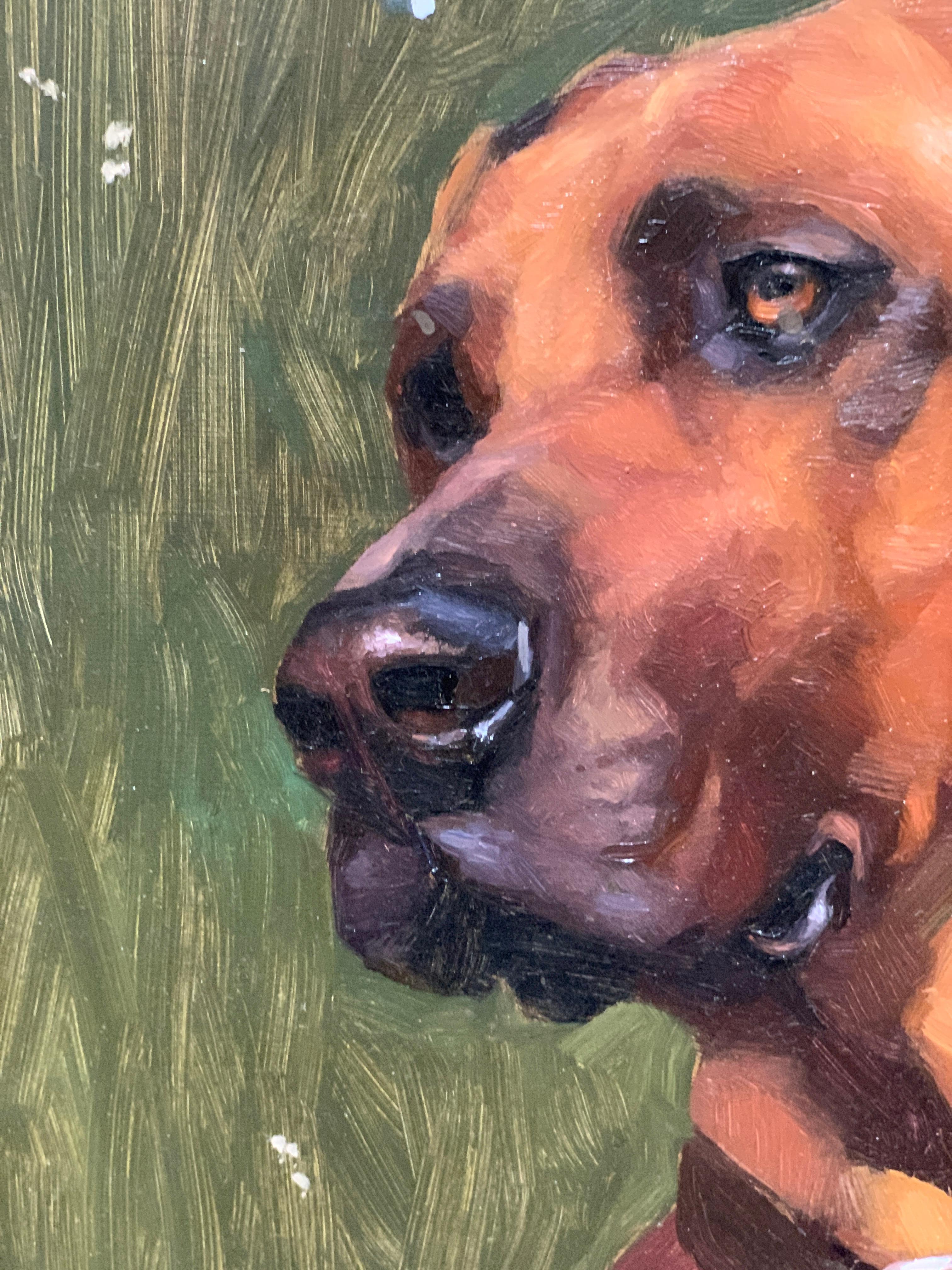 Atemberaubendes amerikanisches realistisches Porträt eines amerikanischen Boxer-Mischhundes aus dem 21. Jahrhundert (Amerikanischer Realismus), Painting, von Jennifer Gennari