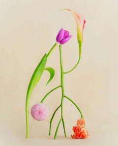 Jennifer Latour - Shapeshifter no16 Shapeshifter no16