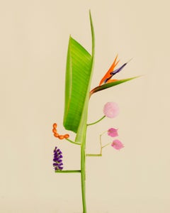 Jennifer Latour - Shapeshifter no18 Shapeshifter no18