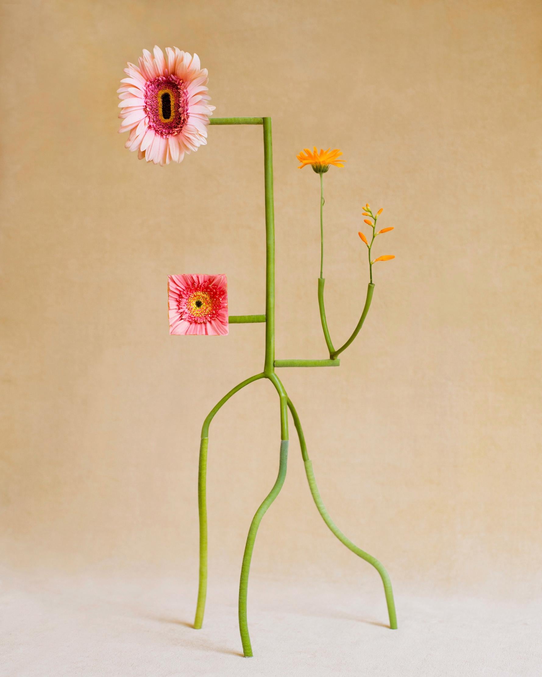 Jennifer Latour Still-Life Photograph - Shapeshifter no5