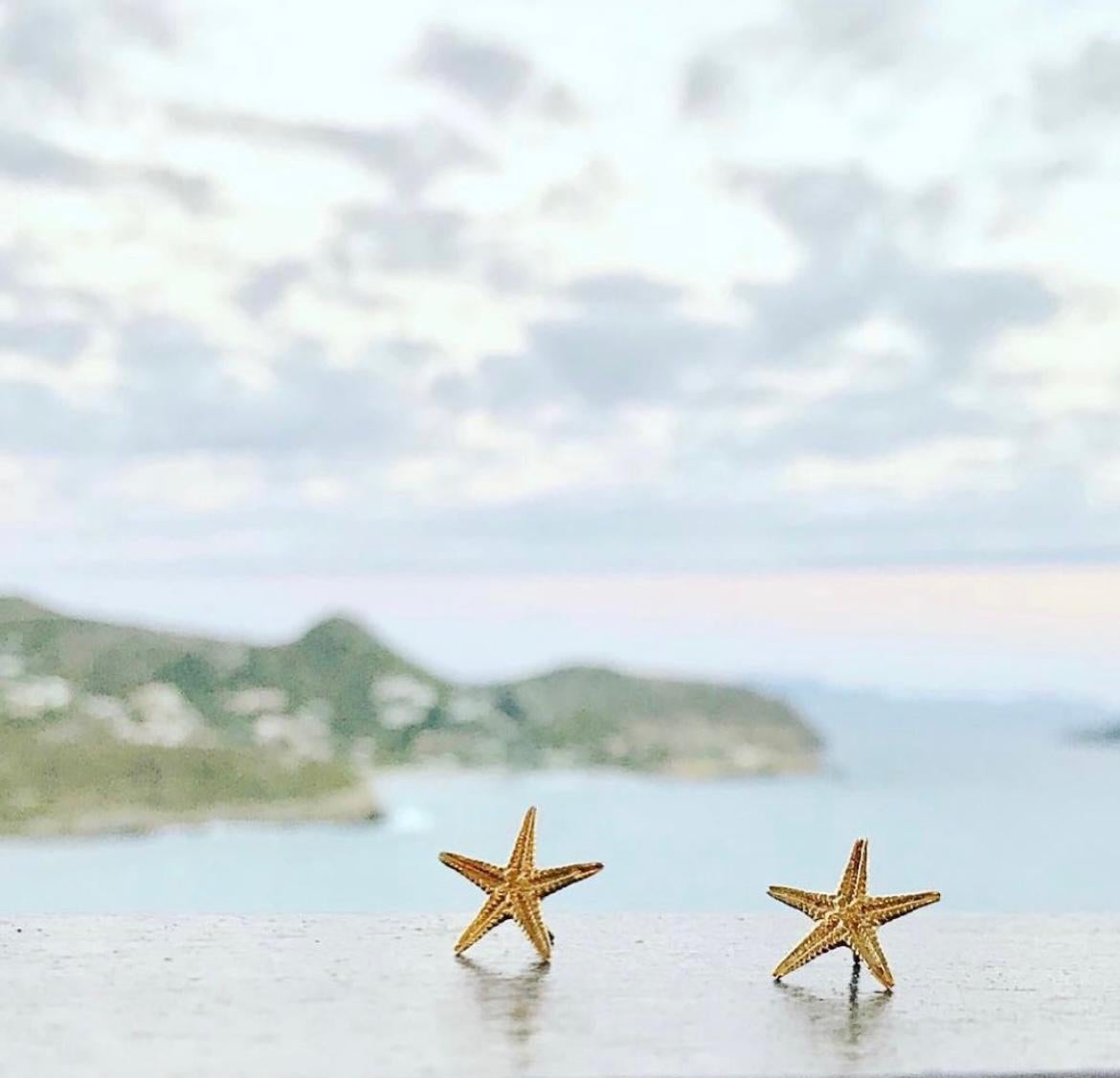 Donna Jennifer Liang Orecchini a stella di mare piccoli in oro 14 KT in vendita