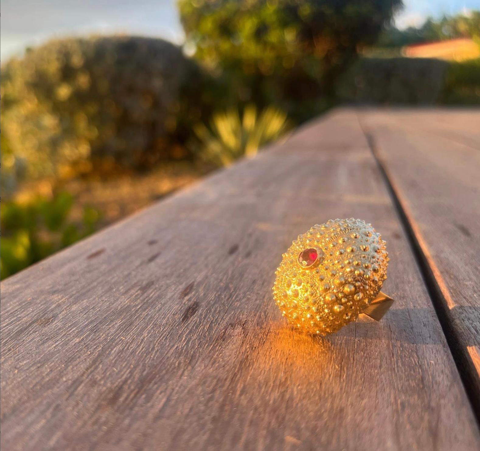 Our Sea Urchin Collection was inspired by our long walks by the sea in Lorient, St. Barth's.  This Sea Urchin Ring was cast from nature in 14 kt gold. It has a rose cut red spinel gemstone in its center. 

This ring is a Size 7 and may be resized at