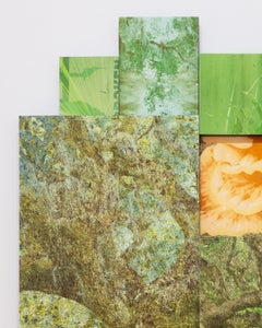 Cumberland Island Maritime Forest, GA" - composite photo, landscape, sculptural