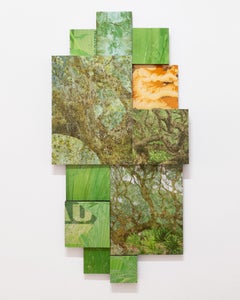 Cumberland Island Maritime Forest, GA" - composite photo, landscape, sculptural