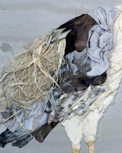 "Hot Couture Herons" - collage, birds, photography